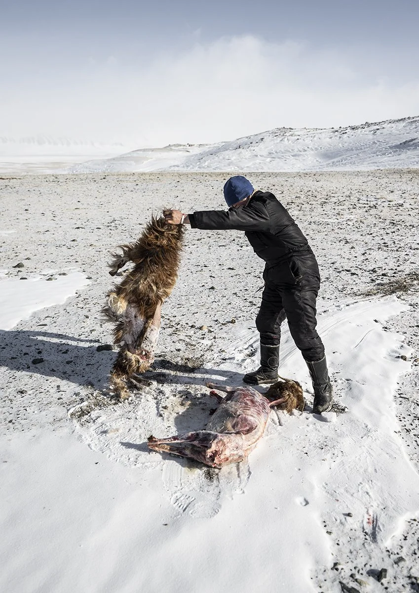 © Gian Giovanoli. All Rights Reserved.