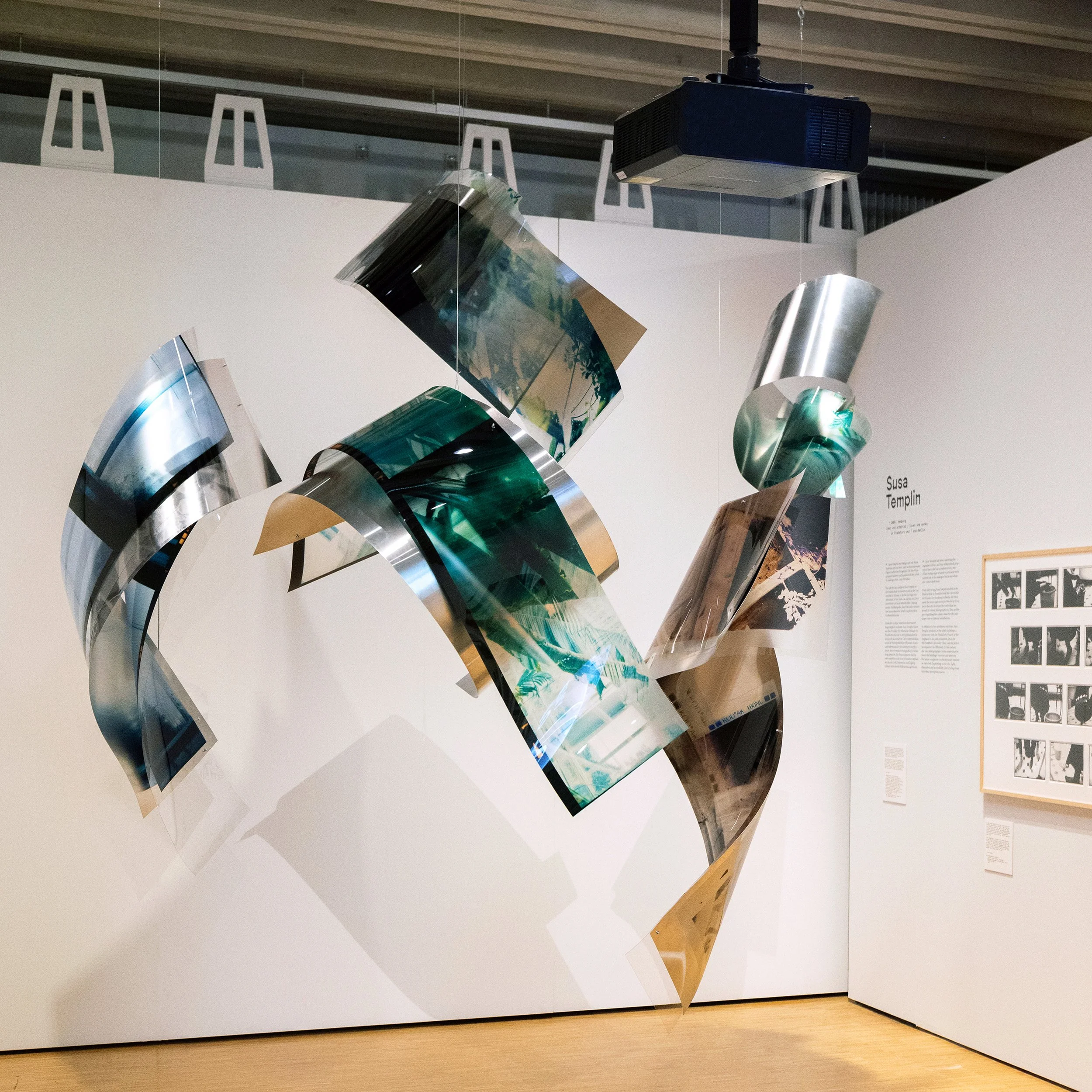 © Susa Templin. All Rights Reserved.