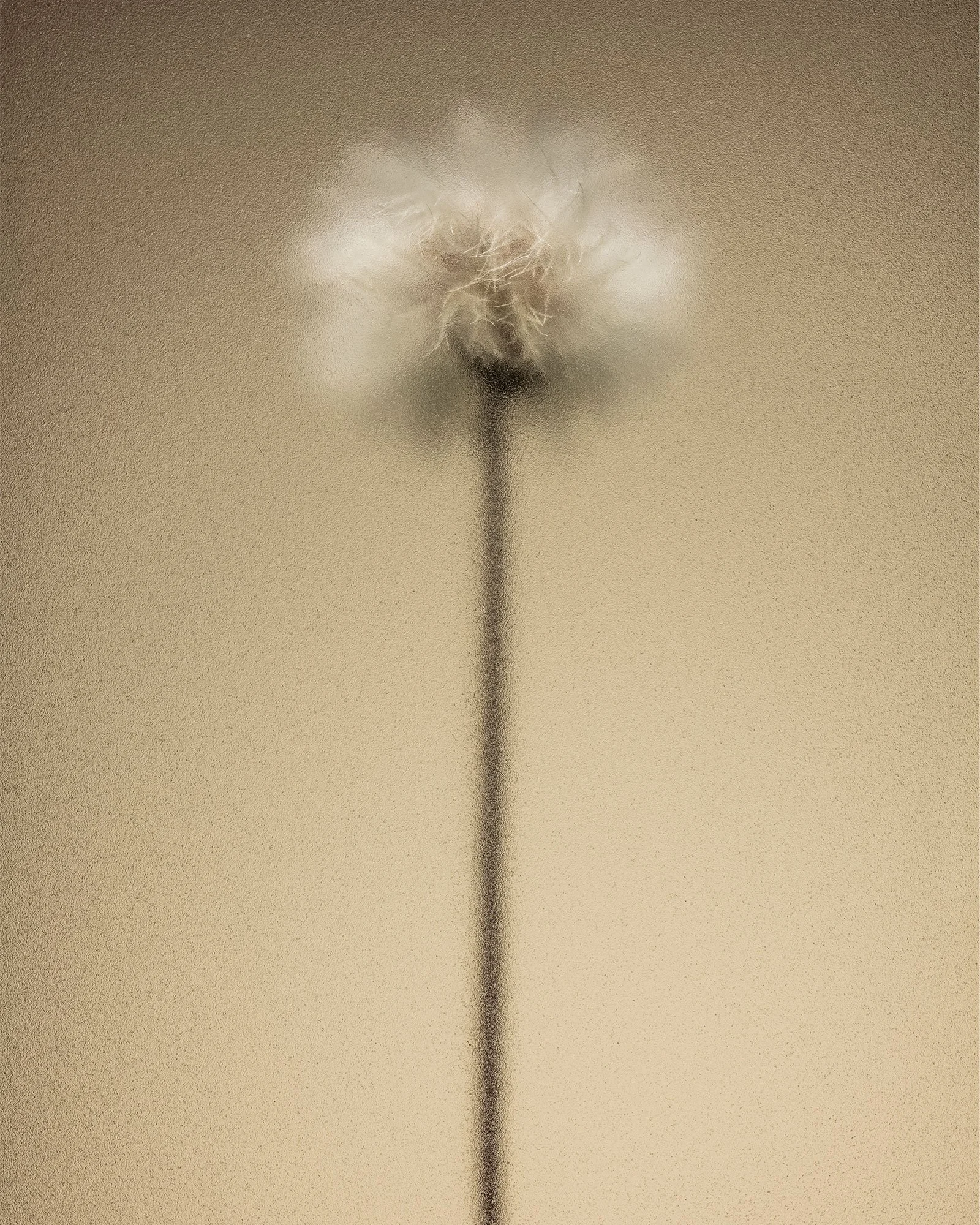 © Gian Giovanoli. All Rights Reserved.