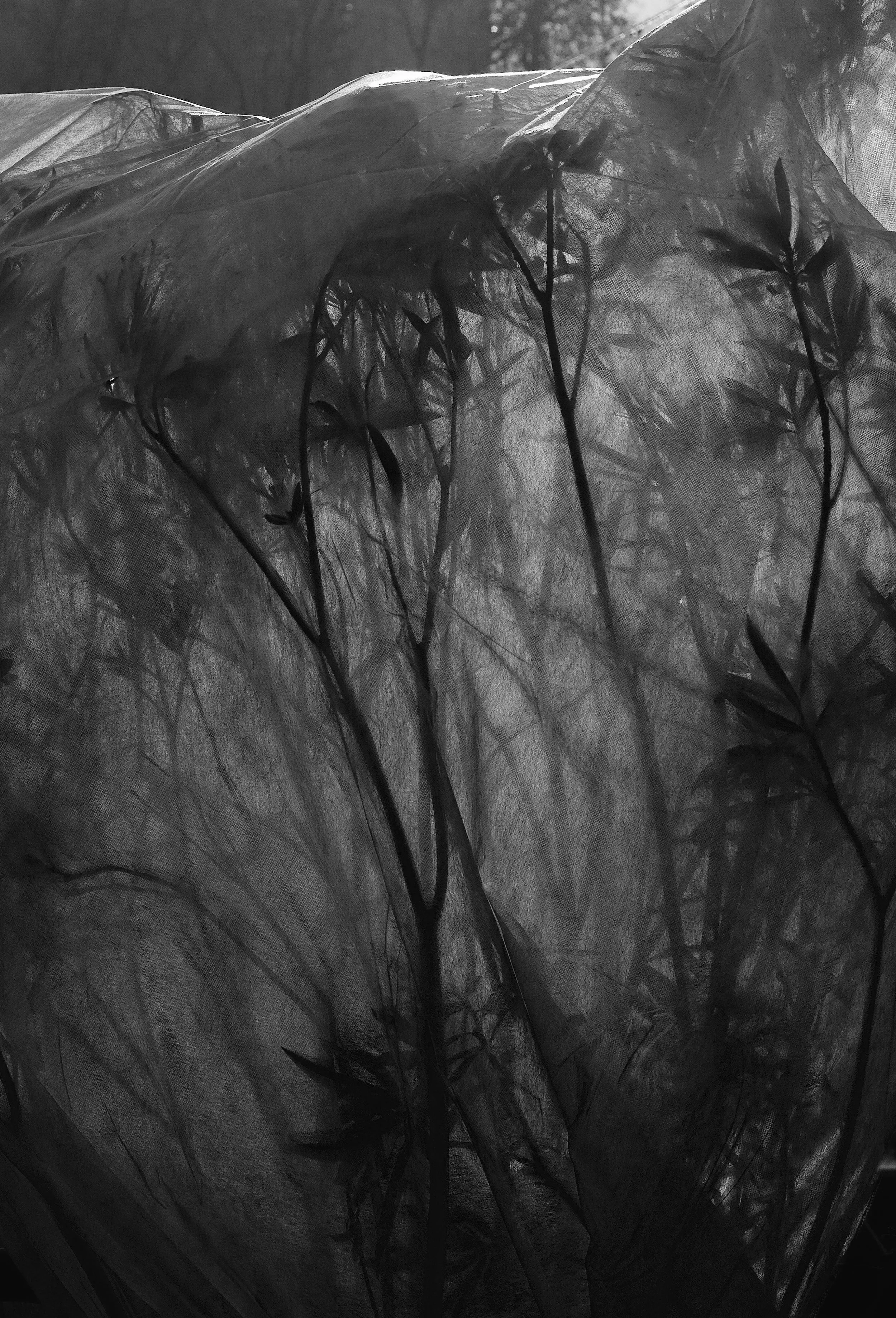 © Henrik Strömberg. All Rights Reserved.