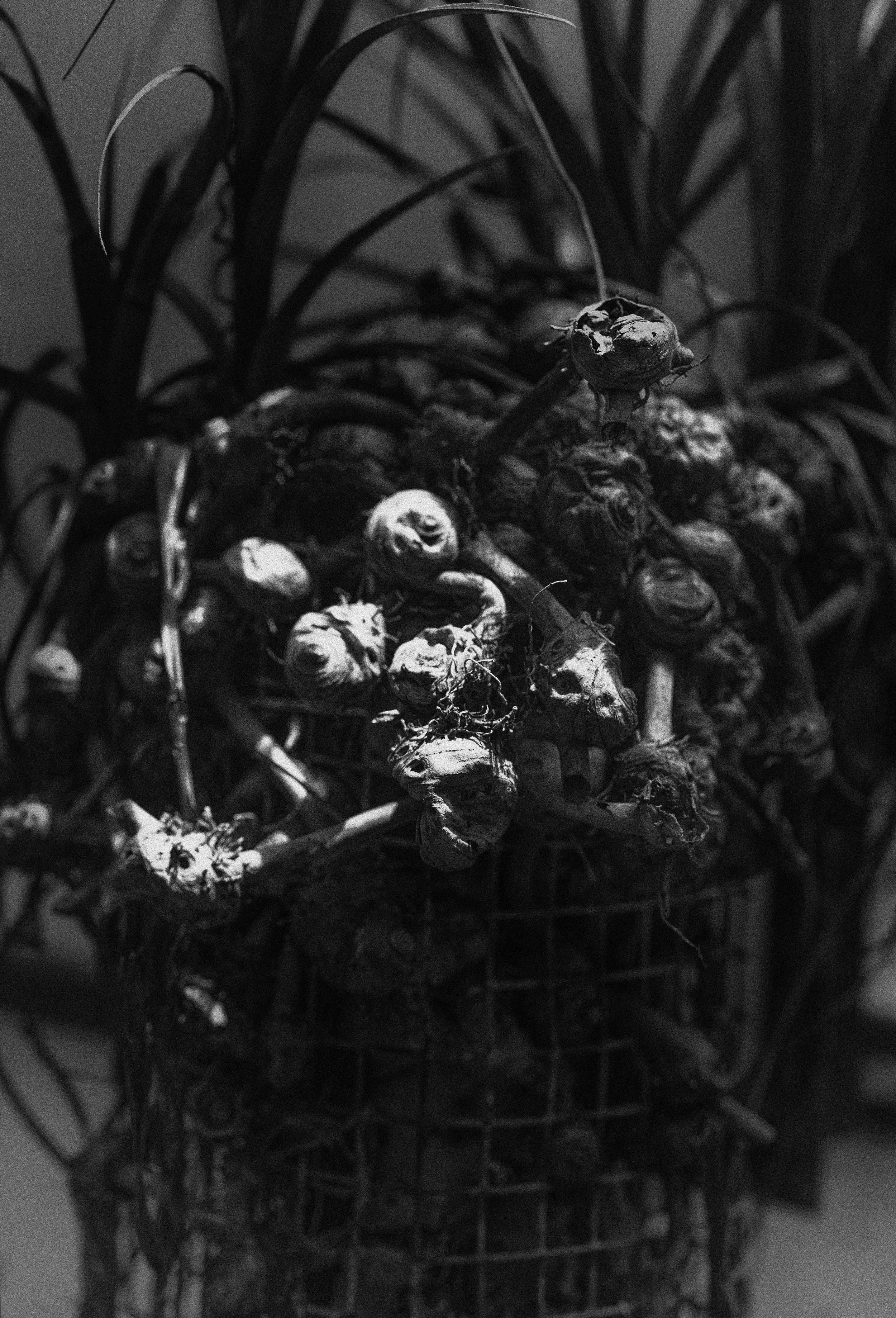 © Henrik Strömberg. All Rights Reserved.