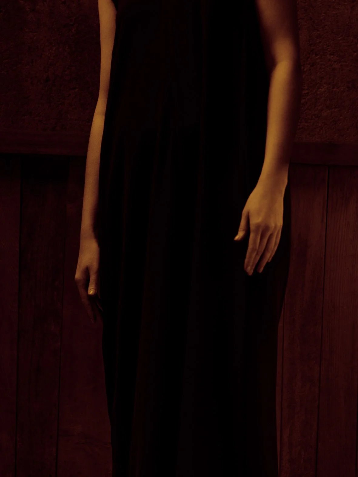 © Paul Cupido. All Rights Reserved.