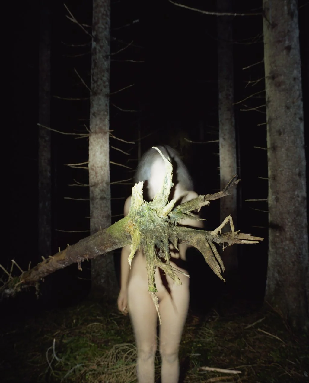 Margot Wallard_Untitled (from series Natten)_2013-2017 (13).jpeg