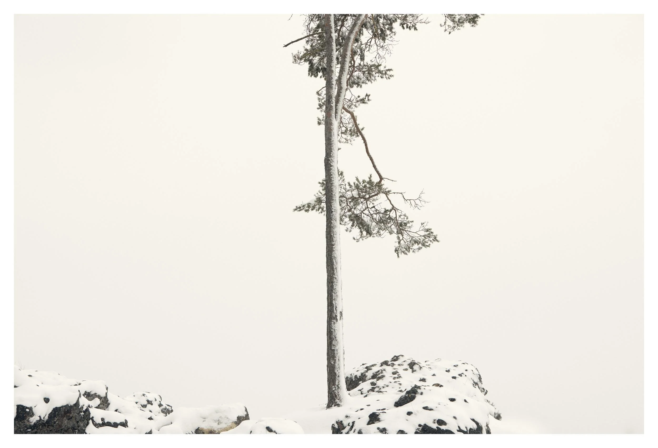 © Michael Schnabel. All Rights Reserved.