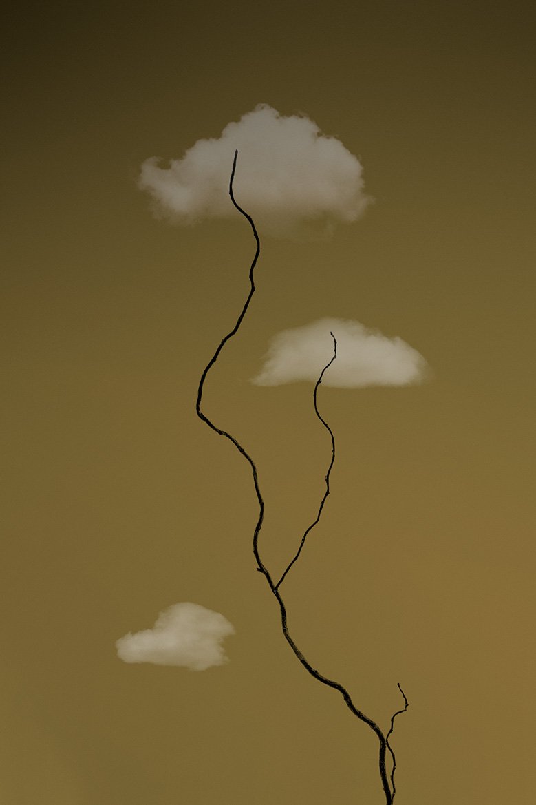 © Paul Cupido. All Rights Reserved.