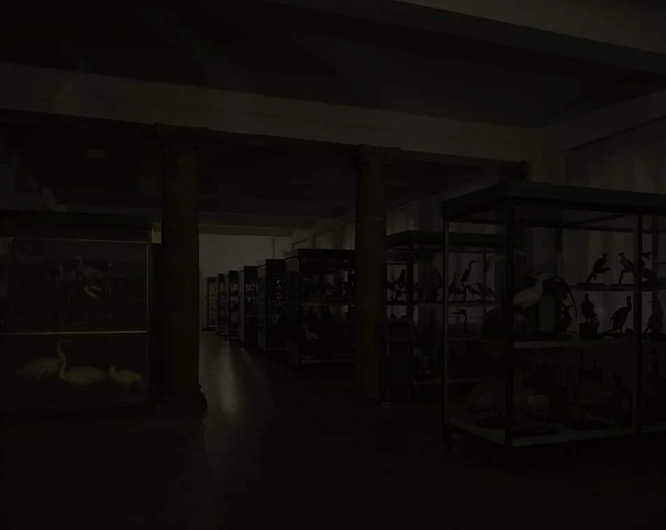 © Michael Schnabel. All Rights Reserved.