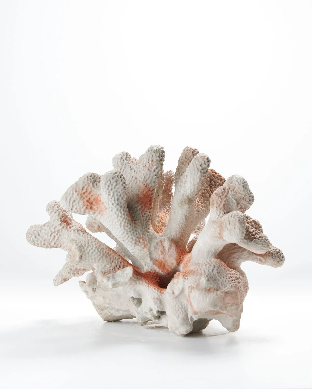 © Douglas Mandry. All Rights Reserved.