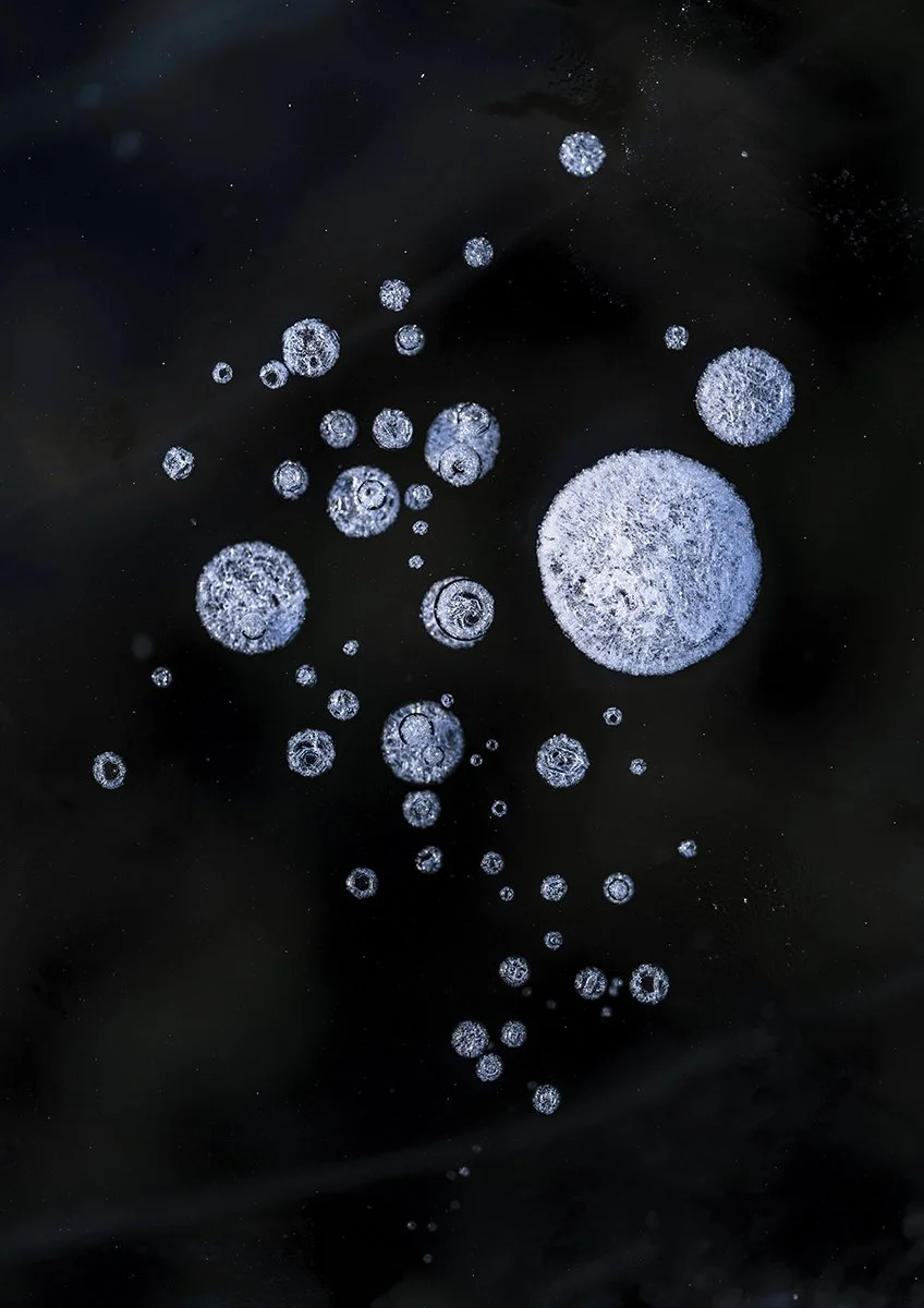 © Gian Giovanoli. All Rights Reserved.