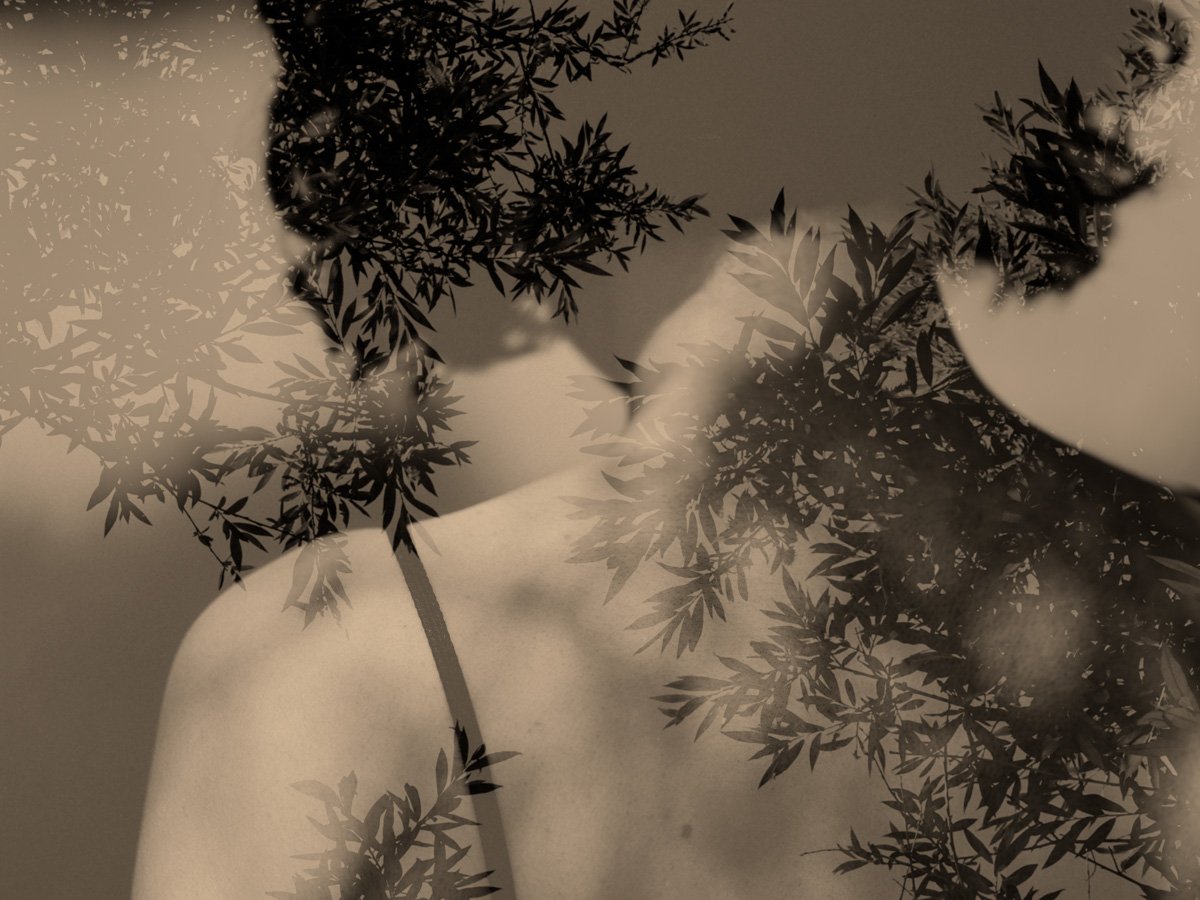 © Paul Cupido. All Rights Reserved.