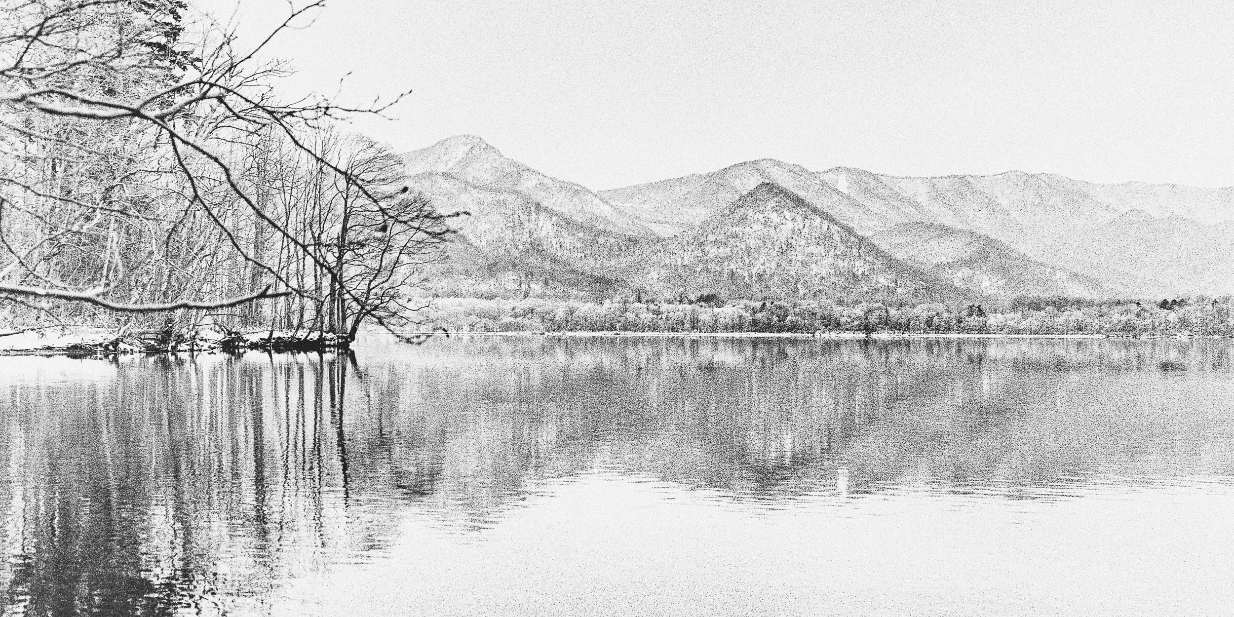 © Margaret Lansink. All Rights Reserved.