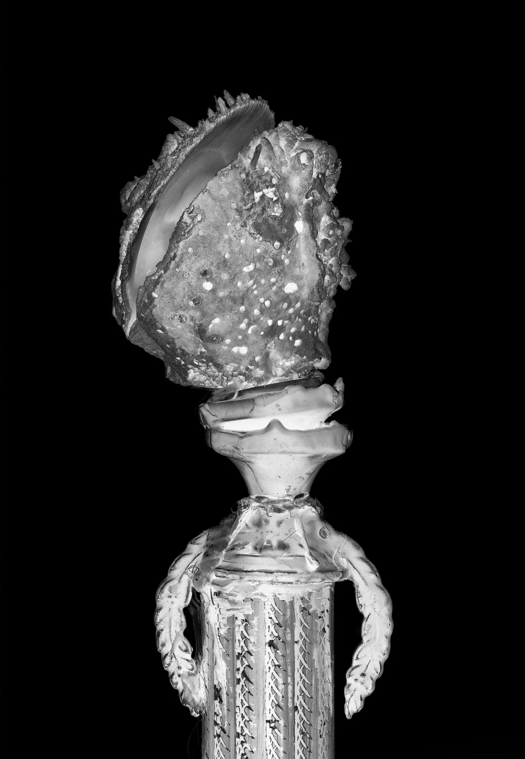 © Henrik Strömberg. All Rights Reserved.