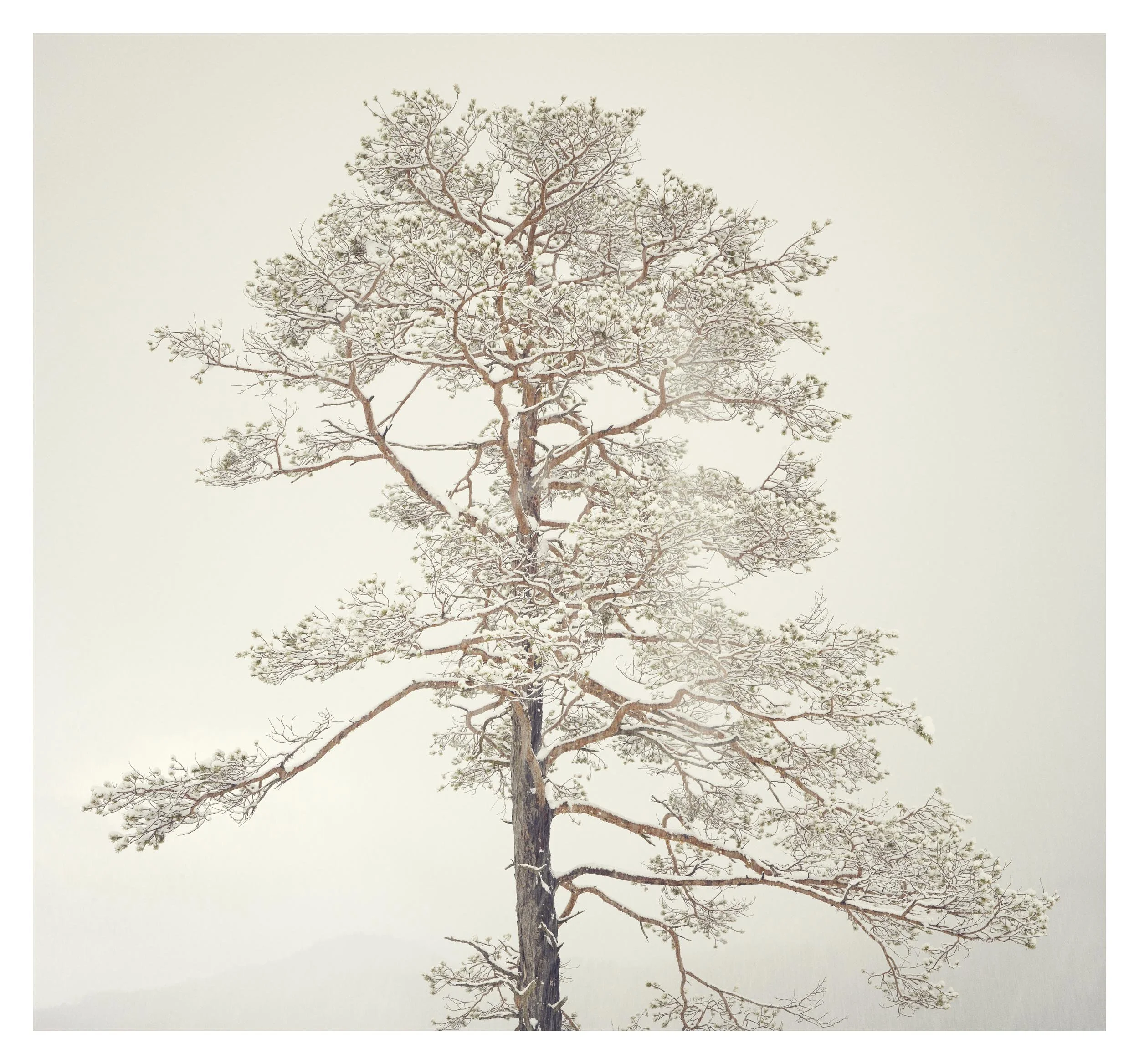 © Michael Schnabel. All Rights Reserved.