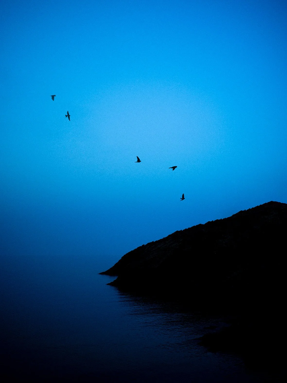 © Paul Cupido. All Rights Reserved.