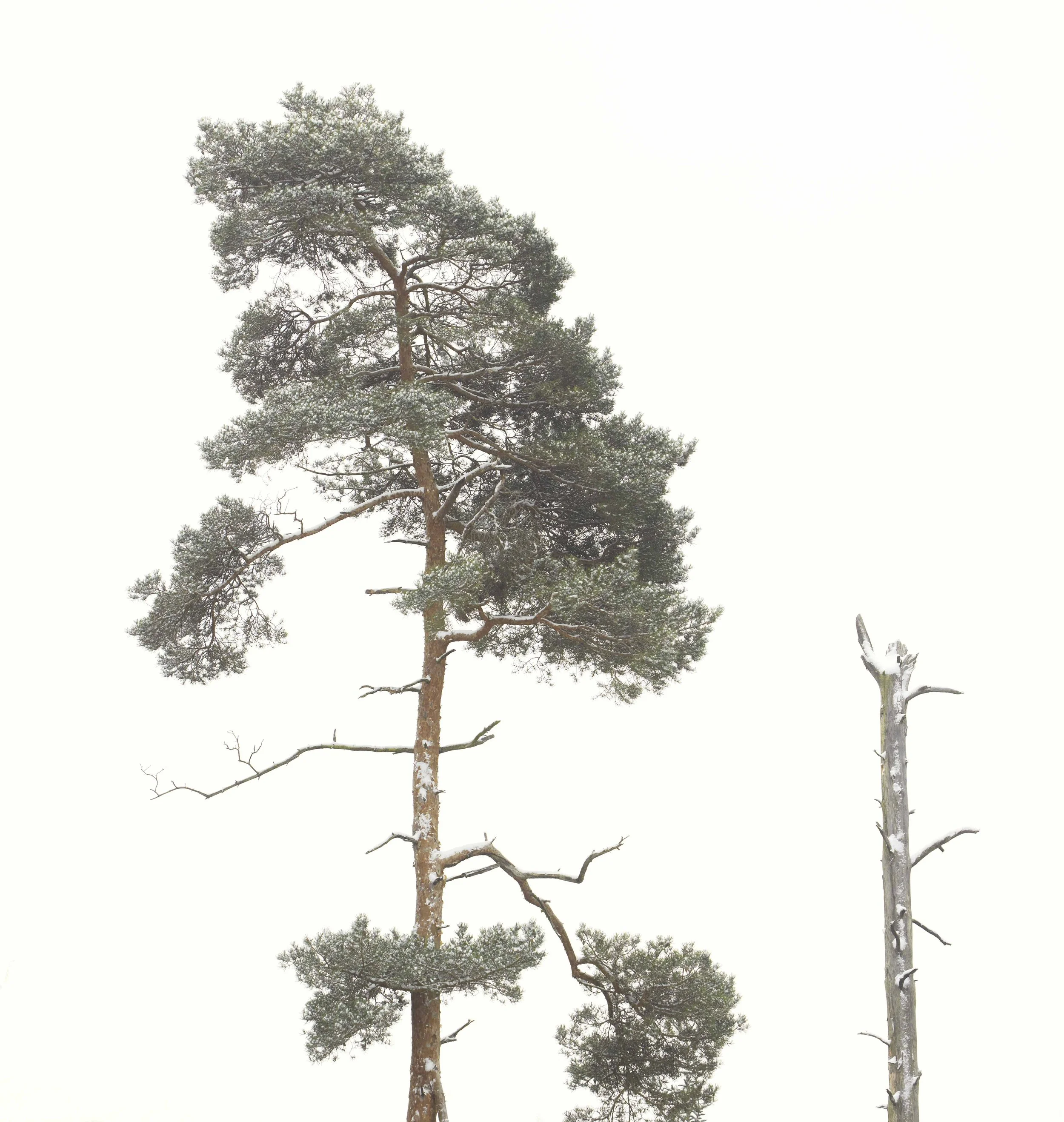 © Michael Schnabel. All Rights Reserved.