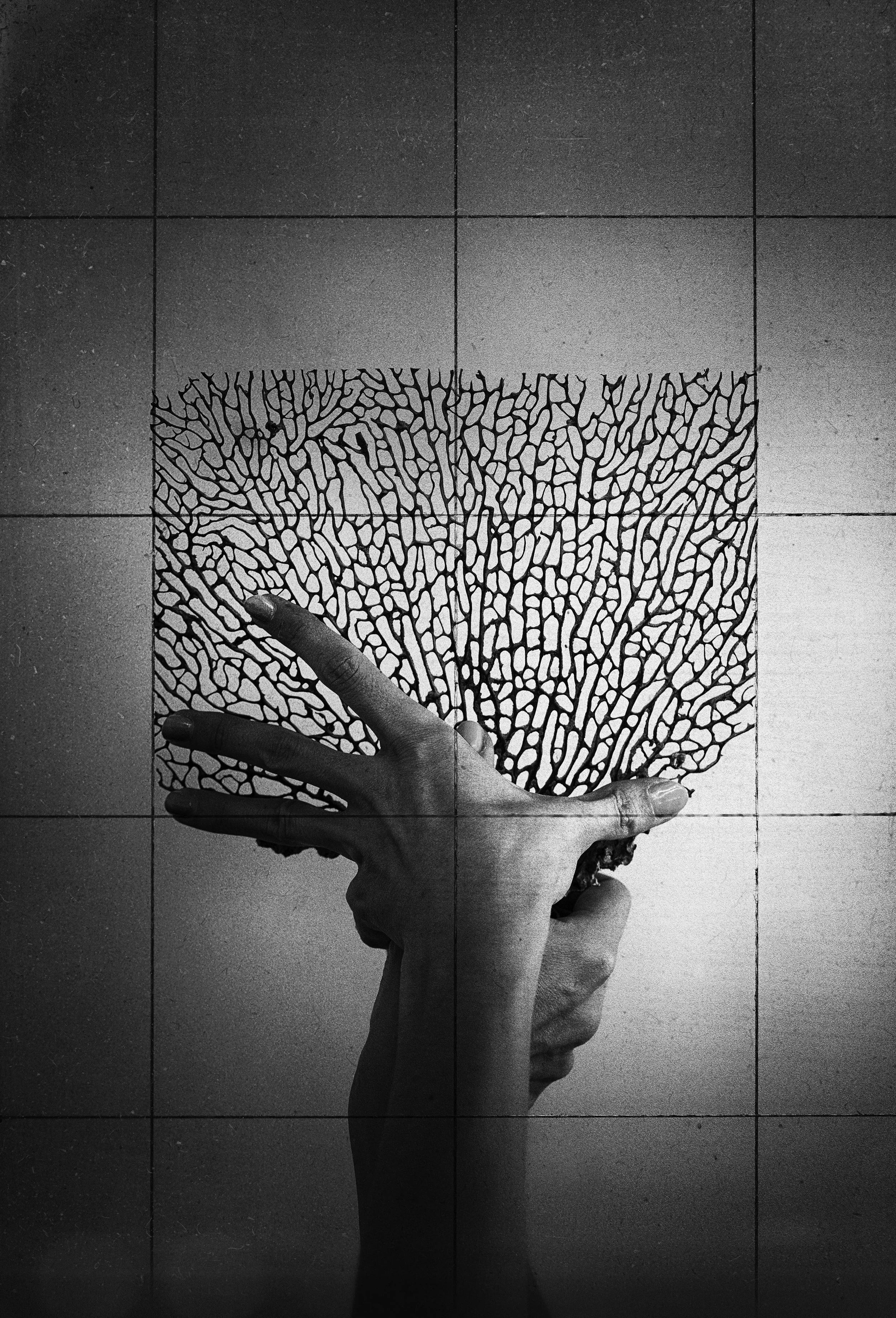 © Henrik Strömberg. All Rights Reserved.