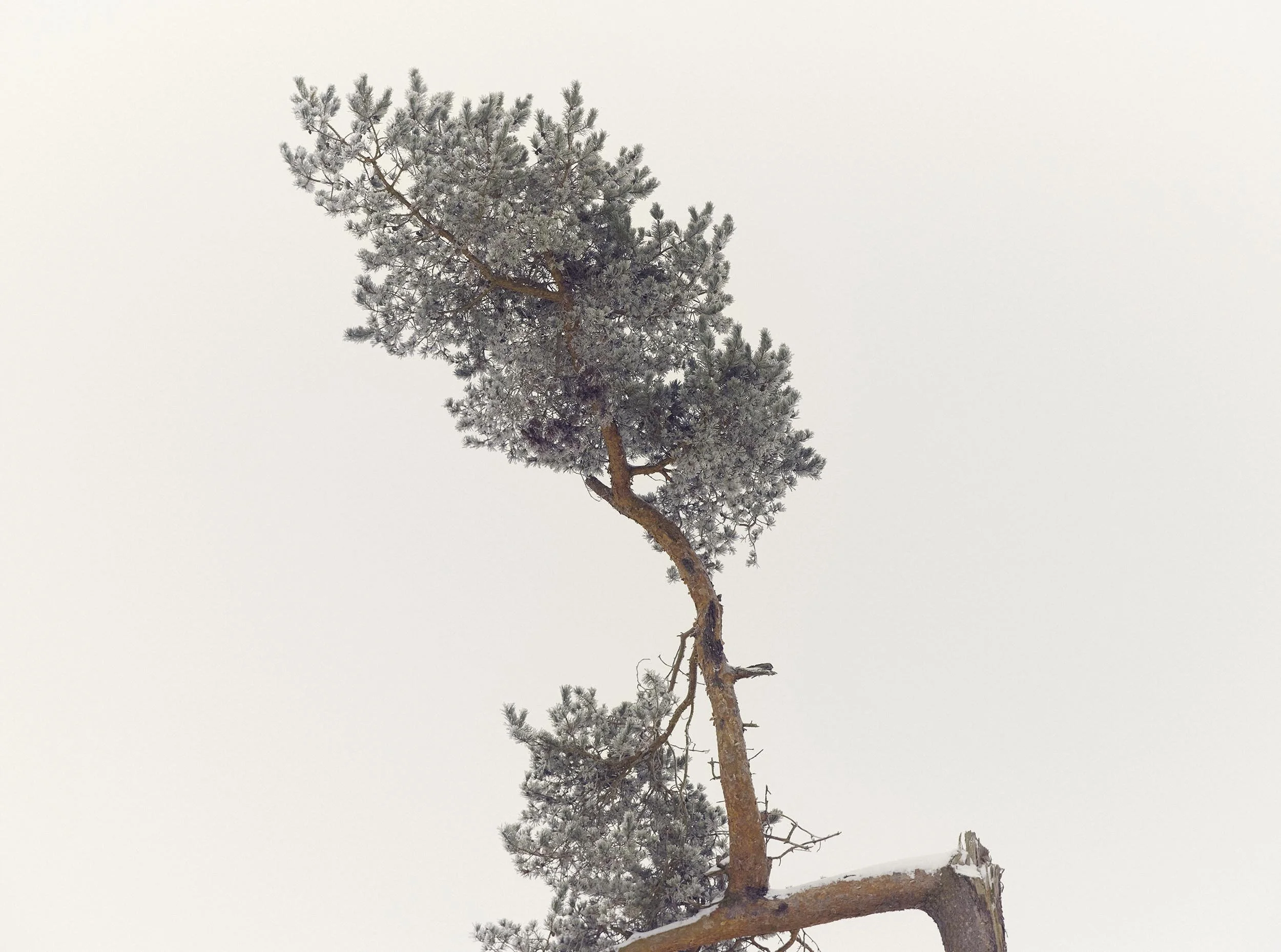 © Michael Schnabel. All Rights Reserved.