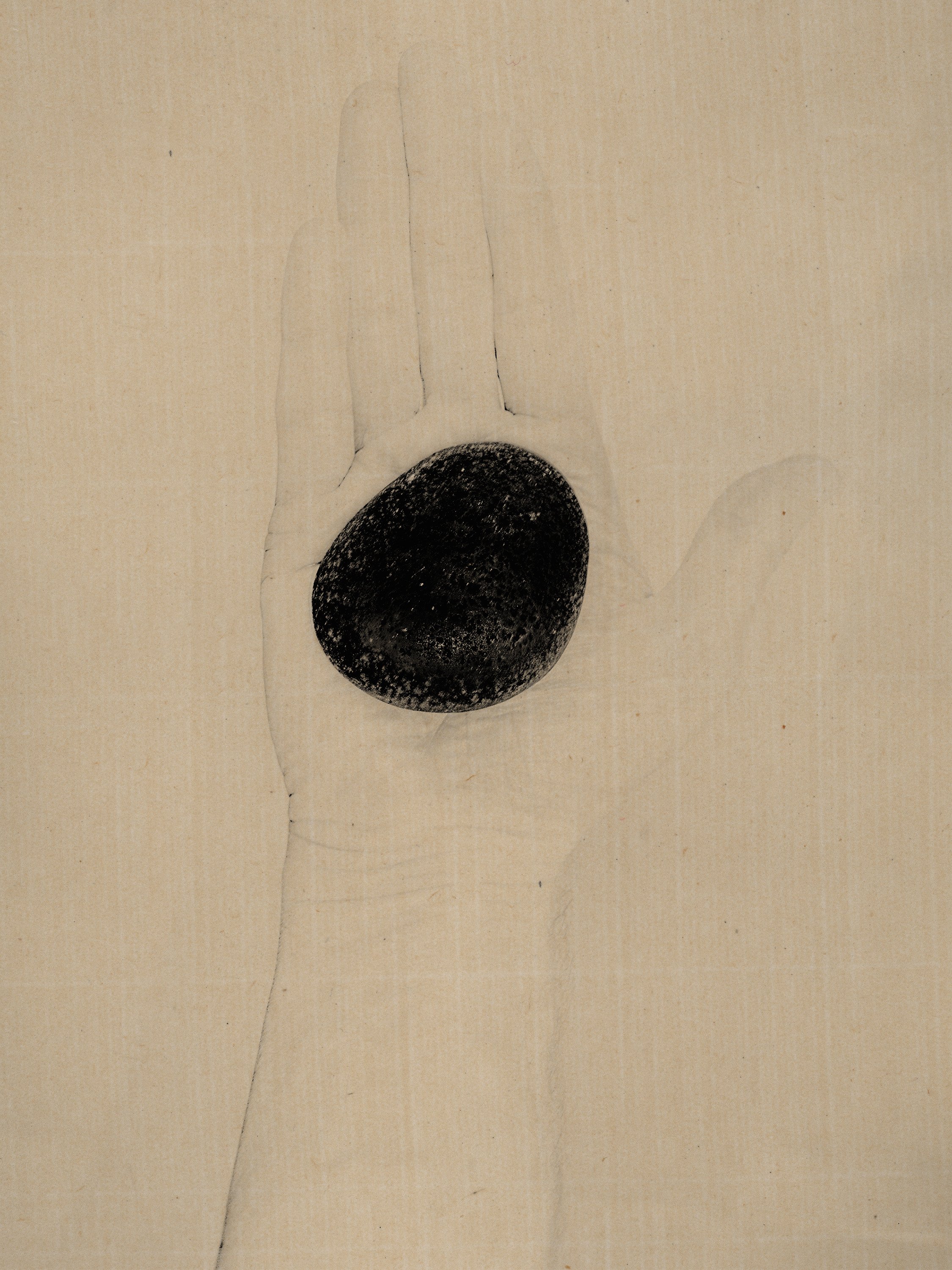 © Paul Cupido. All Rights Reserved.