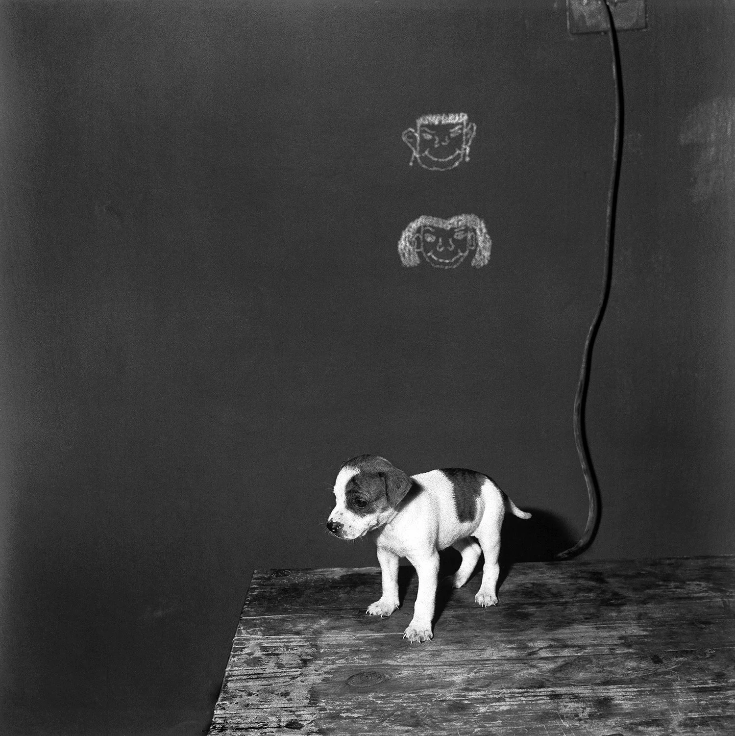 © Roger Ballen. All Rights Reserved.