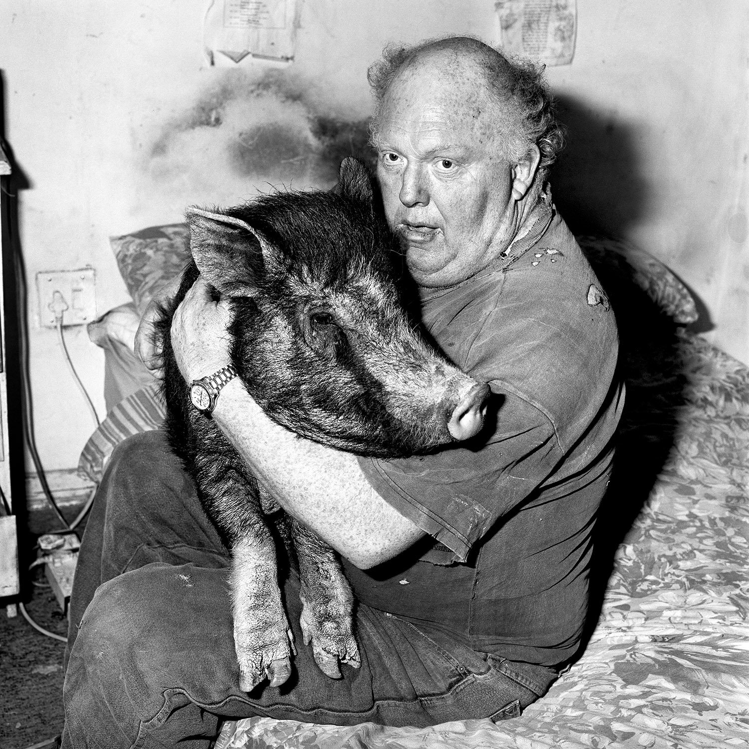 © Roger Ballen. All Rights Reserved.