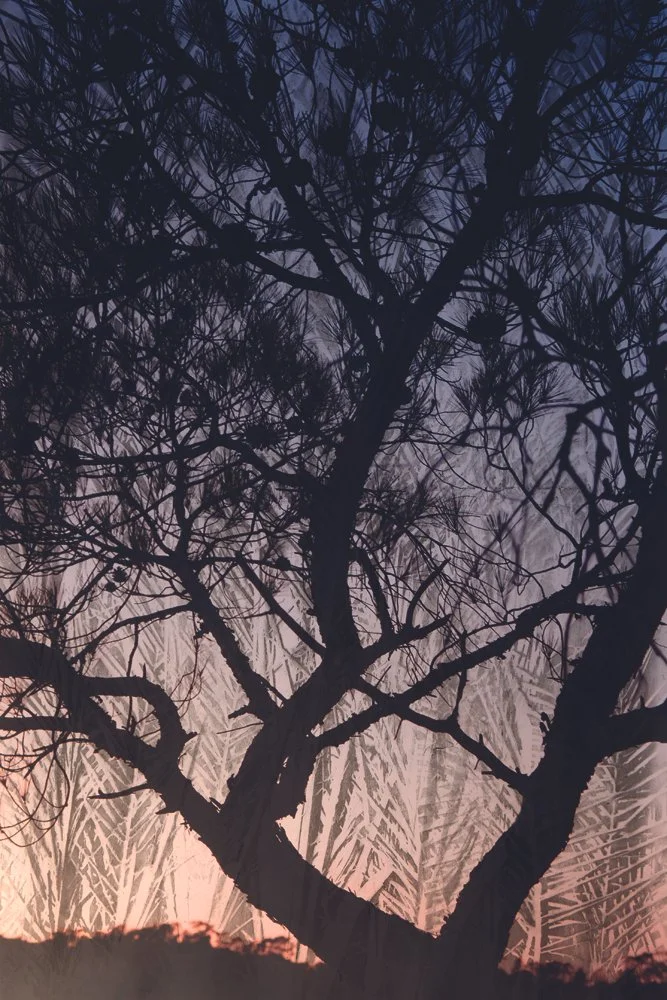 © Douglas Mandry. All Rights Reserved.