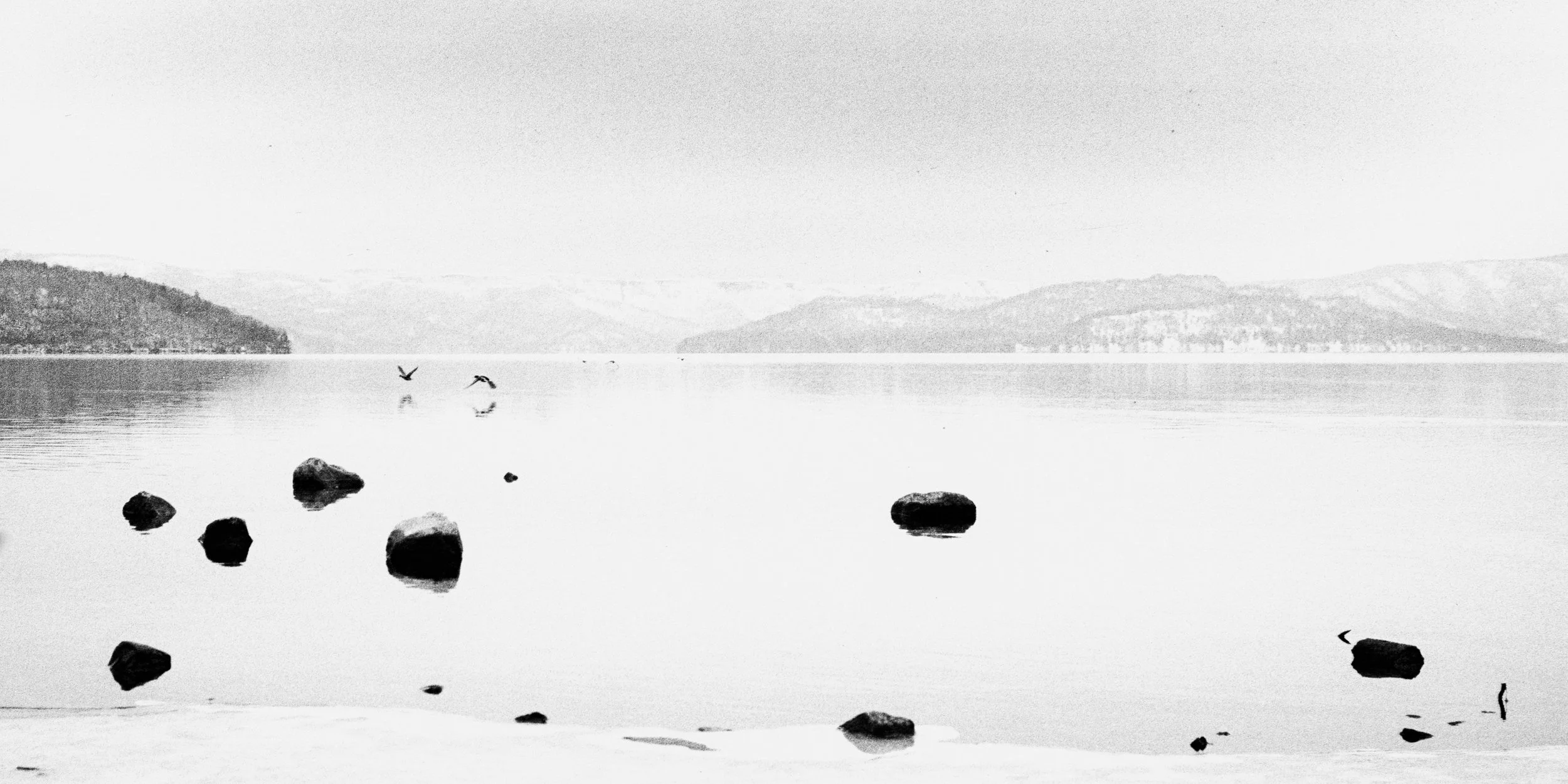 © Margaret Lansink. All Rights Reserved.