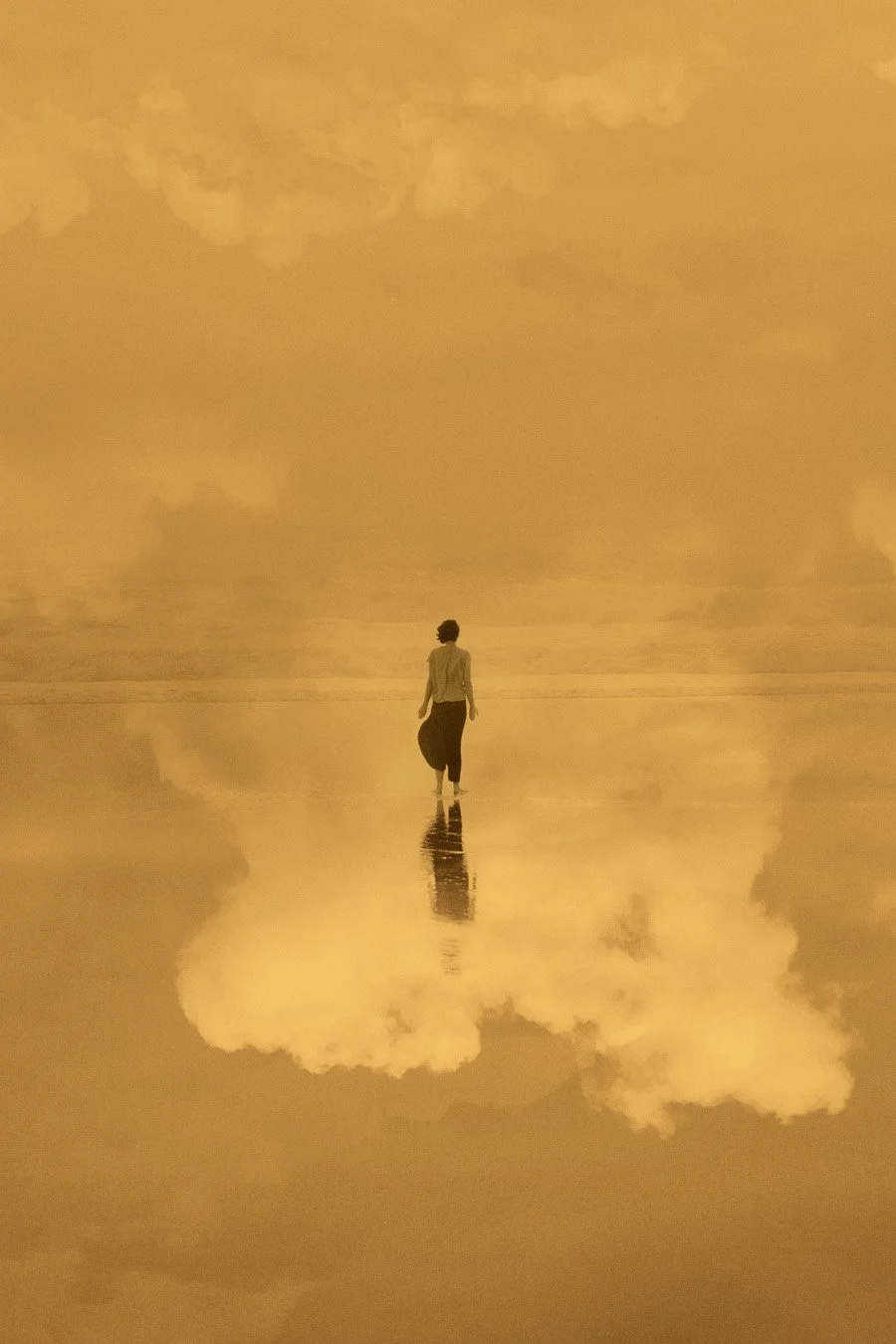 © Paul Cupido. All Rights Reserved.