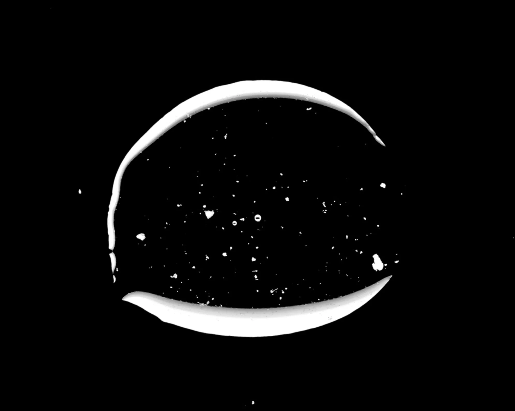 Margot Wallard_Untitled (from series Natten)_2013-2017 (16).jpeg