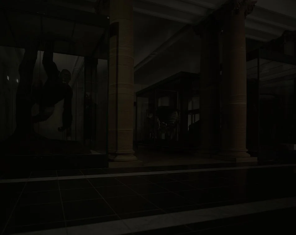 © Michael Schnabel. All Rights Reserved.