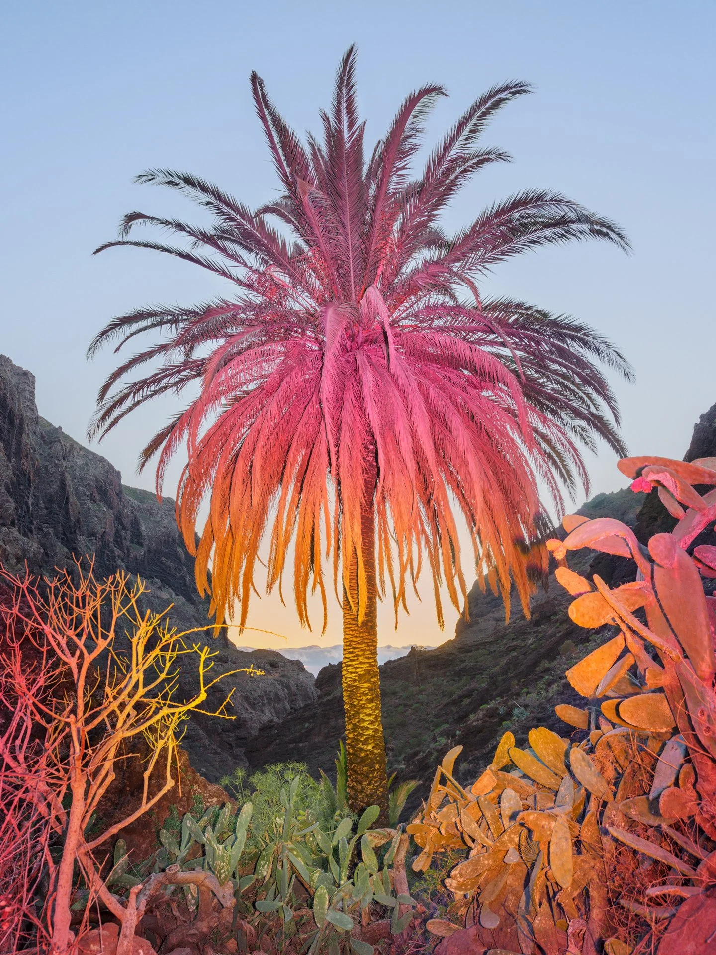 © Inka + Niclas. All Rights Reserved.