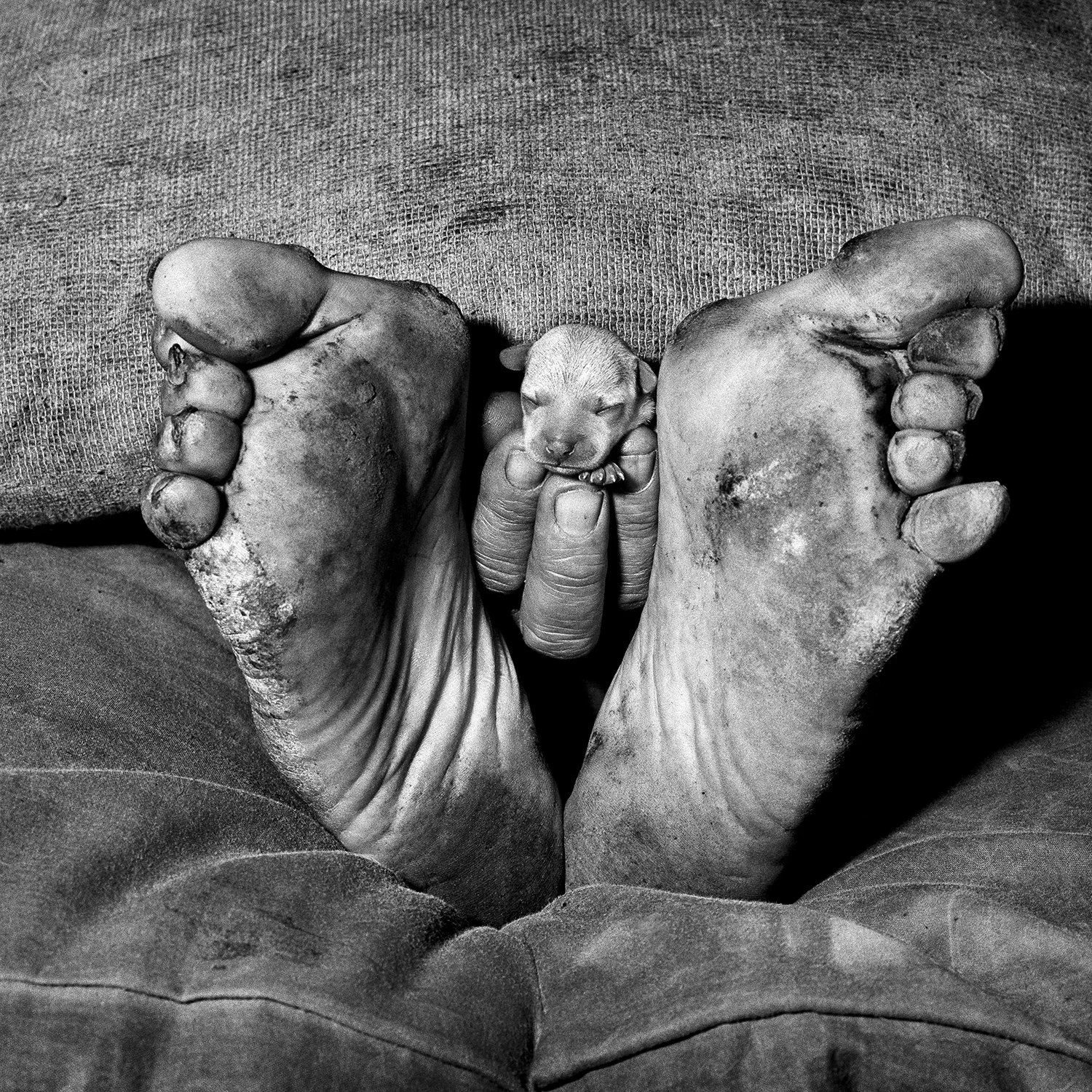 © Roger Ballen. All Rights Reserved.