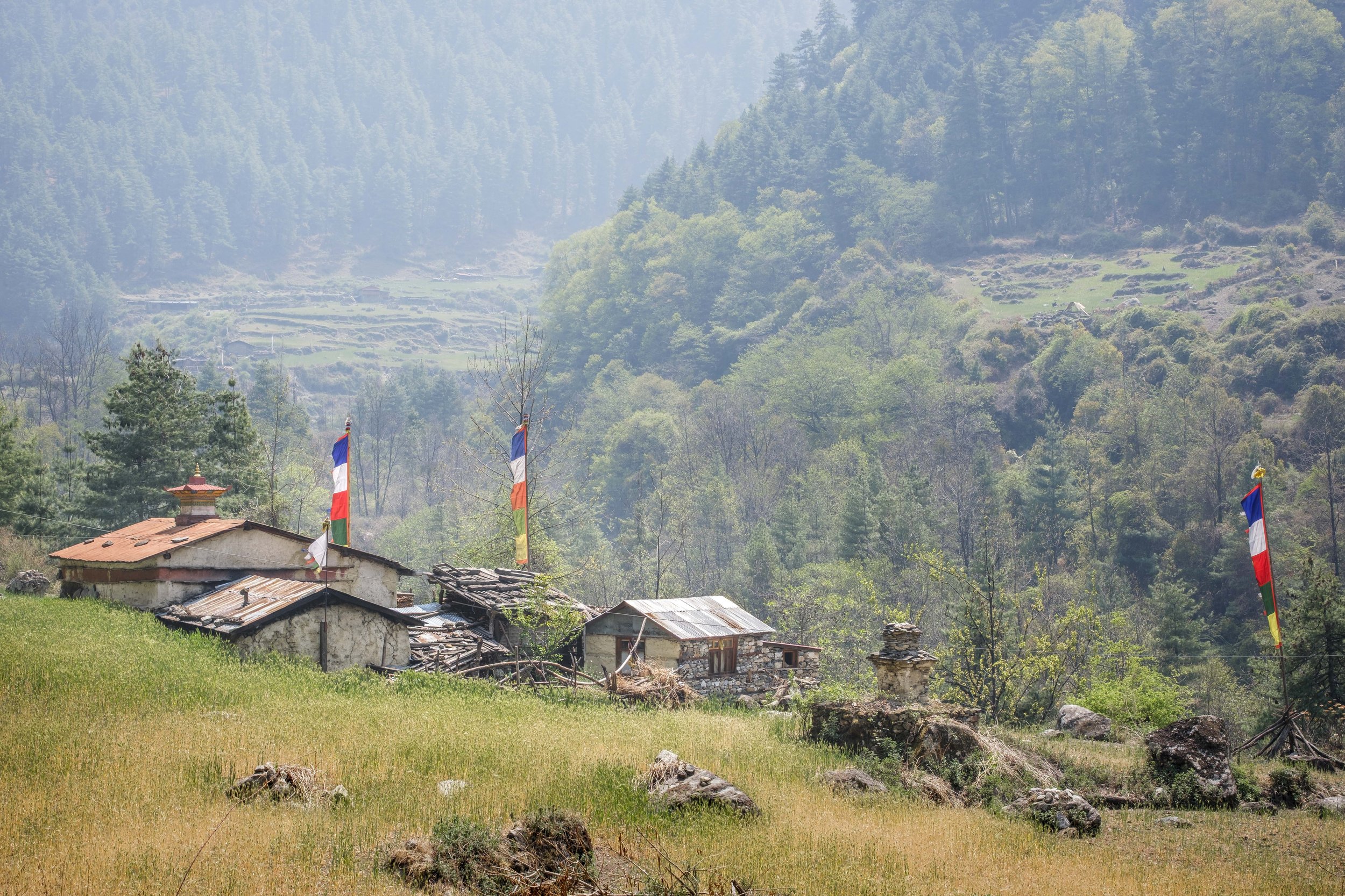 Small village with prayer flags and terraced fields in the Tsum Valley, a remote Himalayan region of Nepal.
