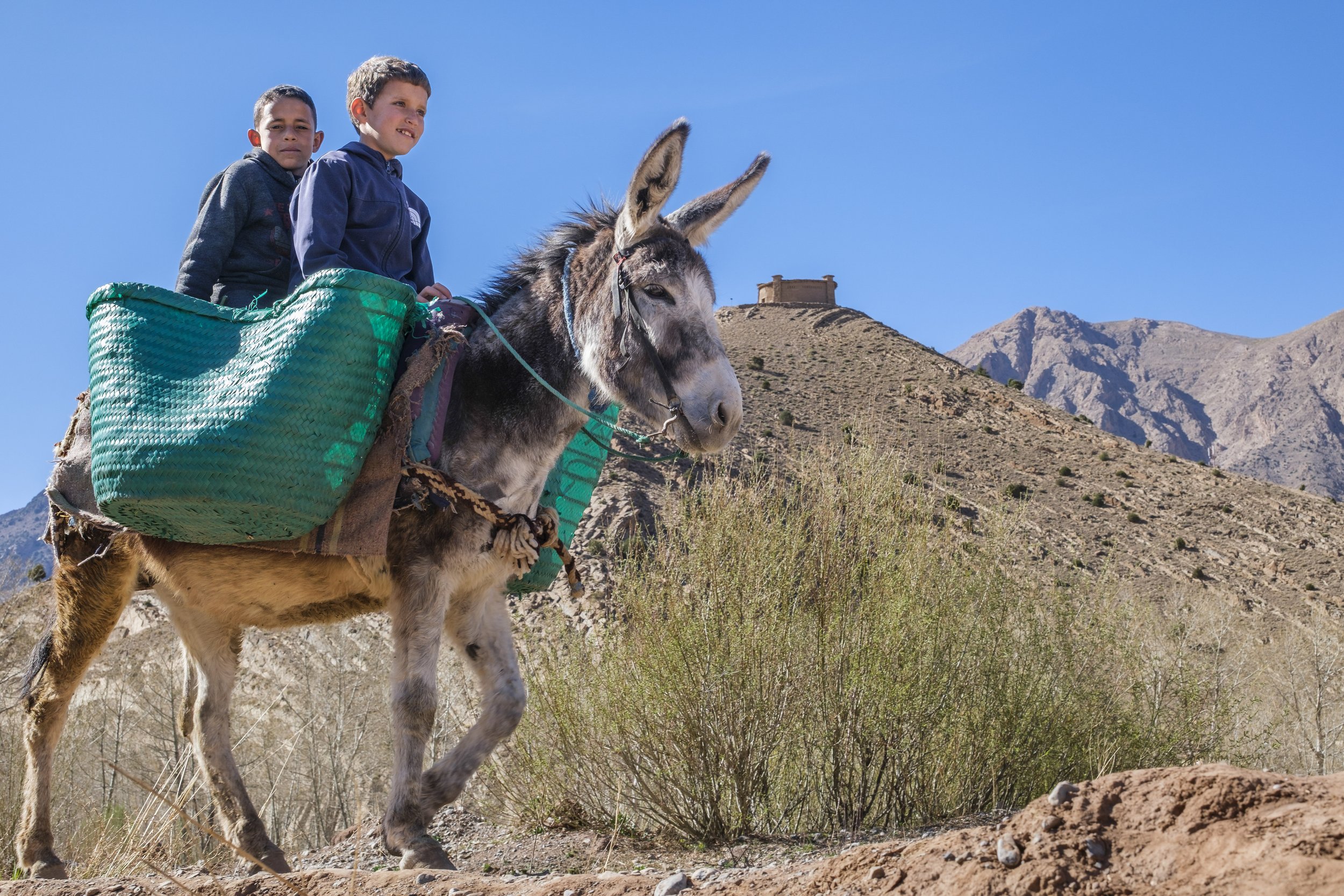 Two boys riding a donkey along a mountain path in the Aït Bouguemez Valley of Morocco’s High Atlas Mountains.