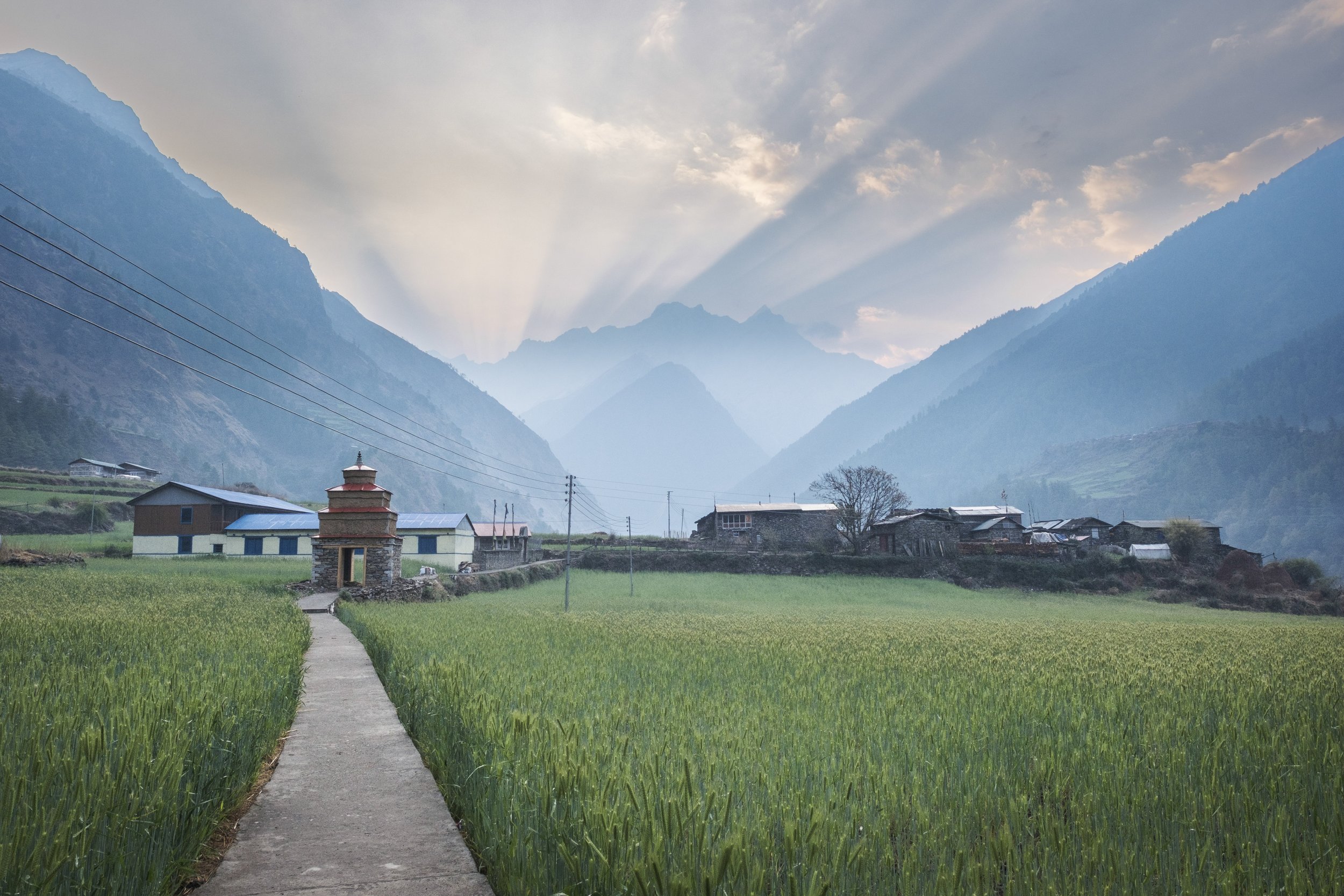 In Chumling, a narrow path cuts through wheat fields toward a chorten gate as the morning sun spreads across the valley. Locals believe passing beneath the chorten brings merit, which is why these gateways stand along many Himalayan trails. Tsum Vall