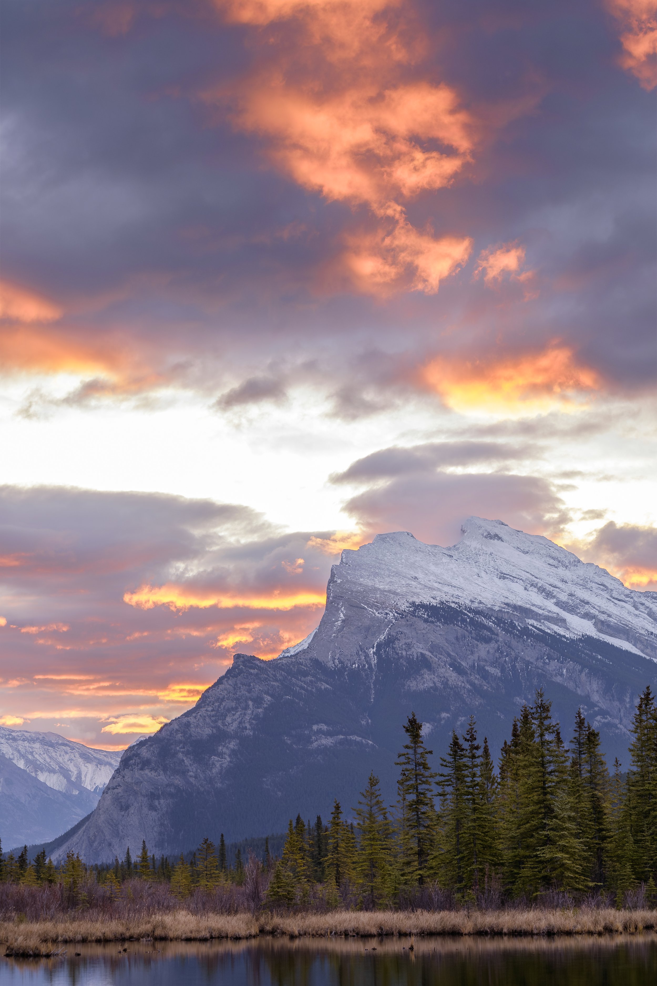 Scenic landscape of a snow-capped mountain range at sunset with colorful clouds in the sky, a forest of tall green trees in the foreground, and a calm lake reflecting the scene.