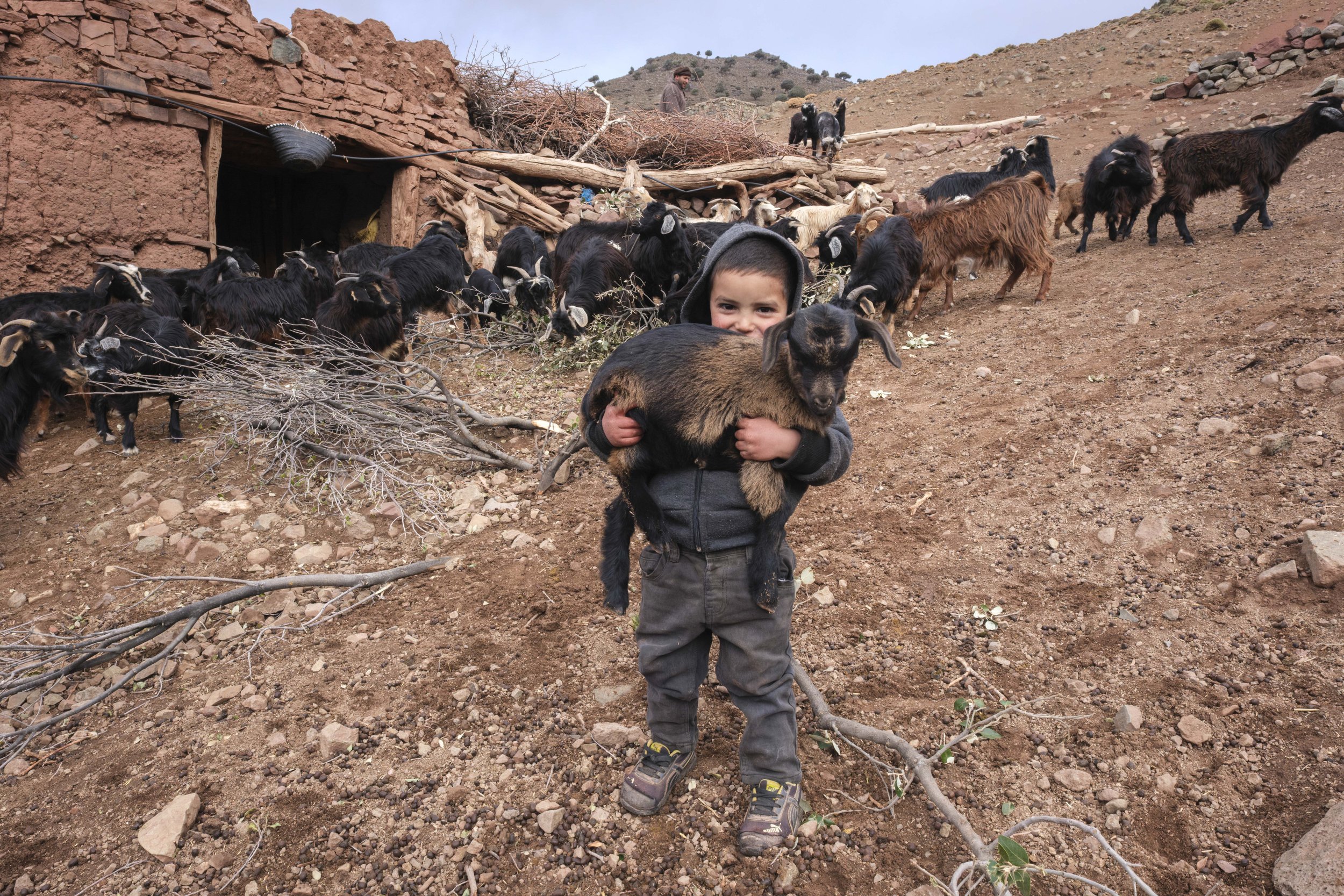 Young boy holding a goat among a herd outside a rural home in the Aït Bouguemez Valley of Morocco’s High Atlas Mountains.