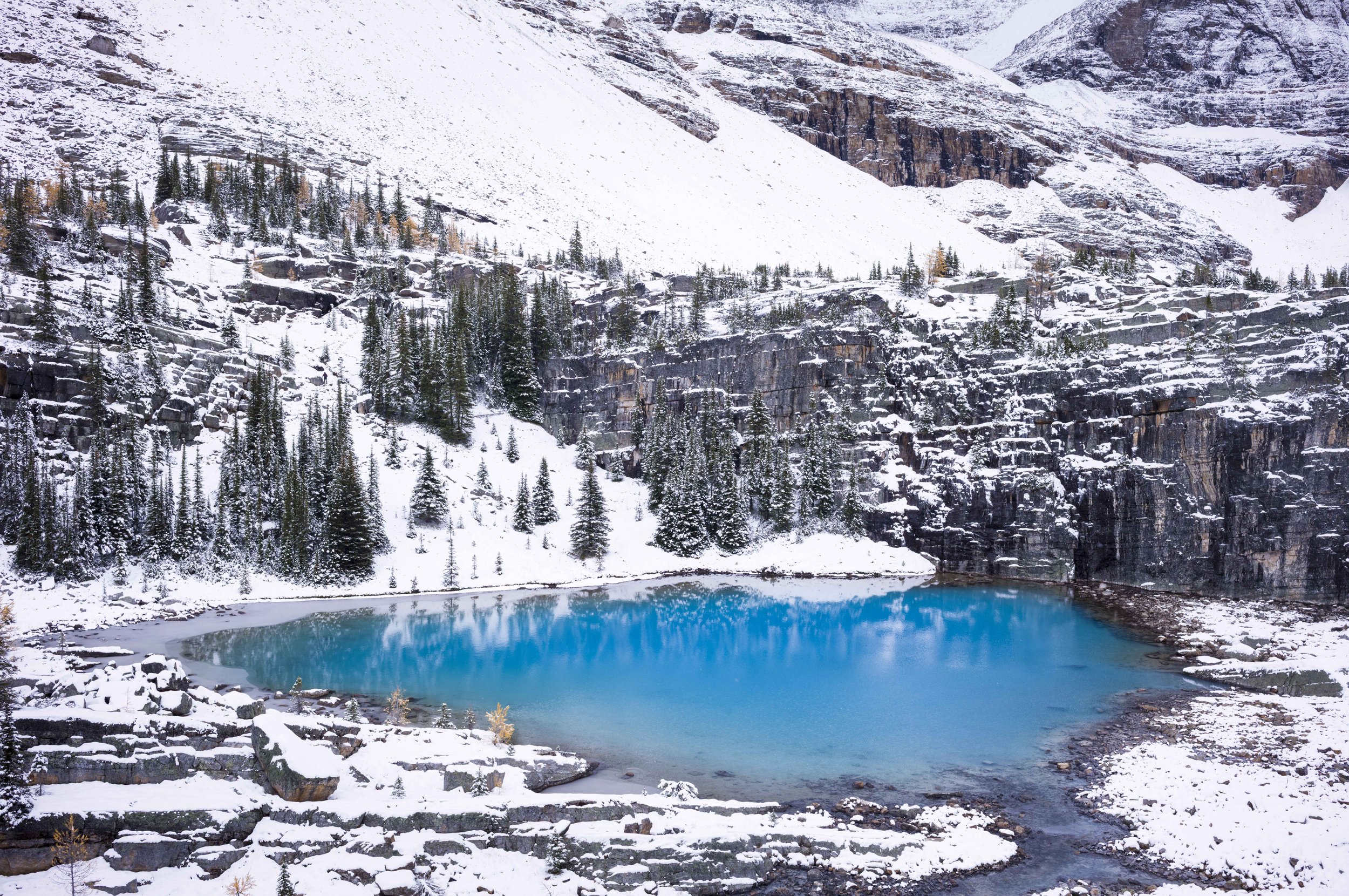 Turquoise alpine lake surrounded by snow-covered mountains and pine forest.