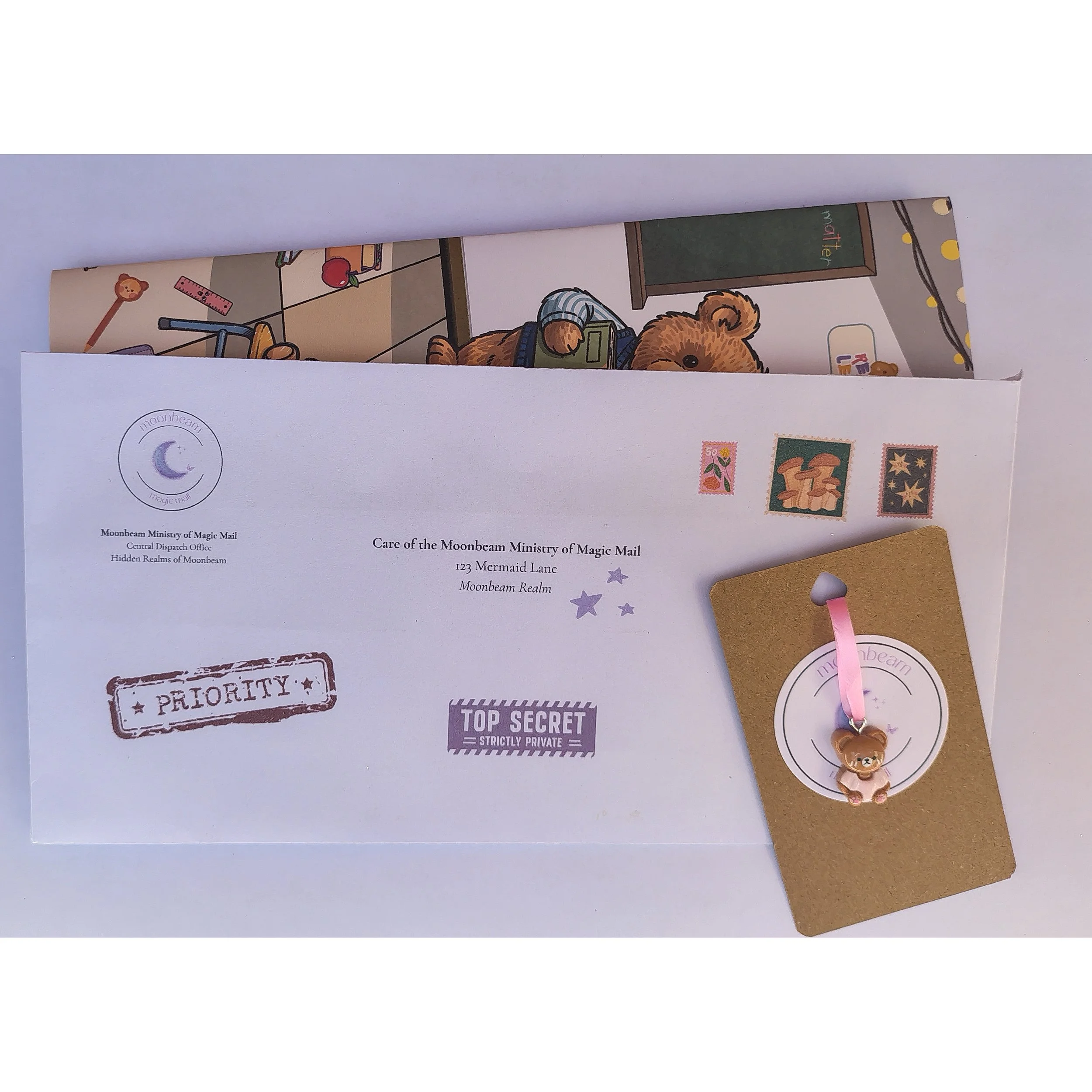 teddy confident mini.jpg