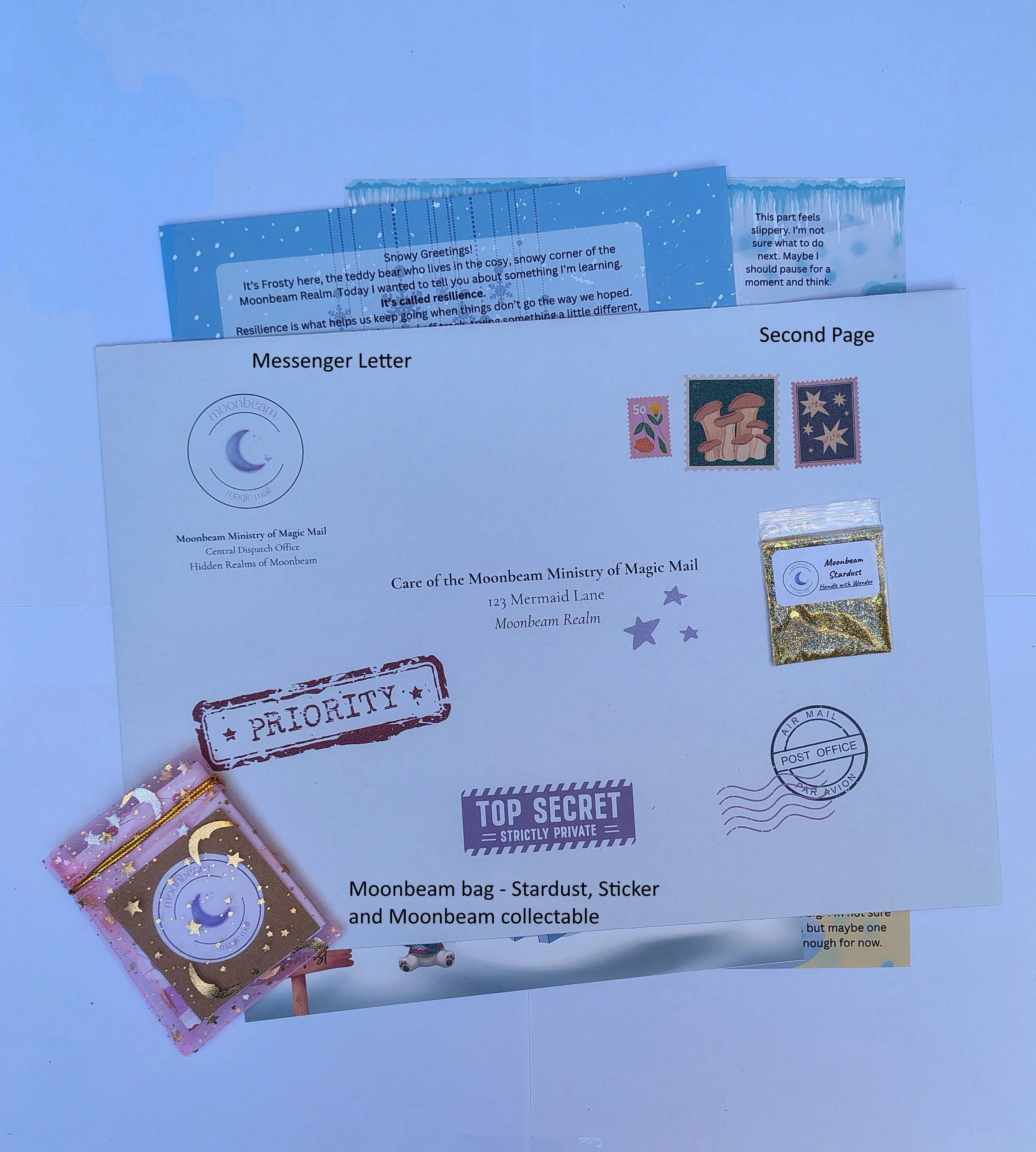 Frosty the Teddy Bear - Resilience Letter