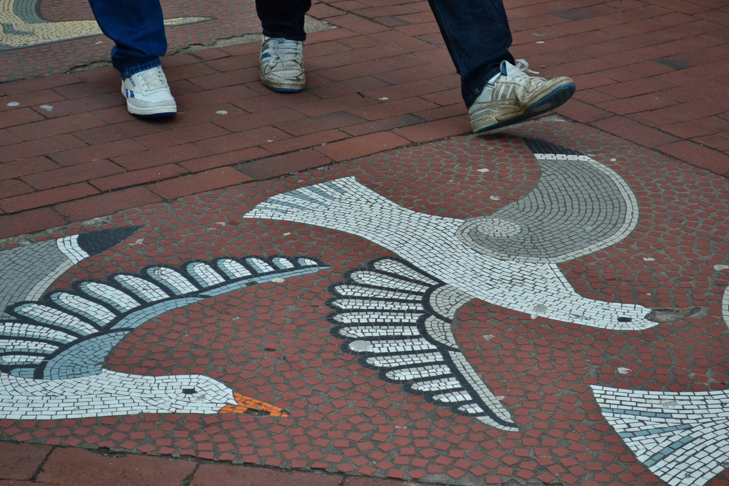 DSC_0358.jpg