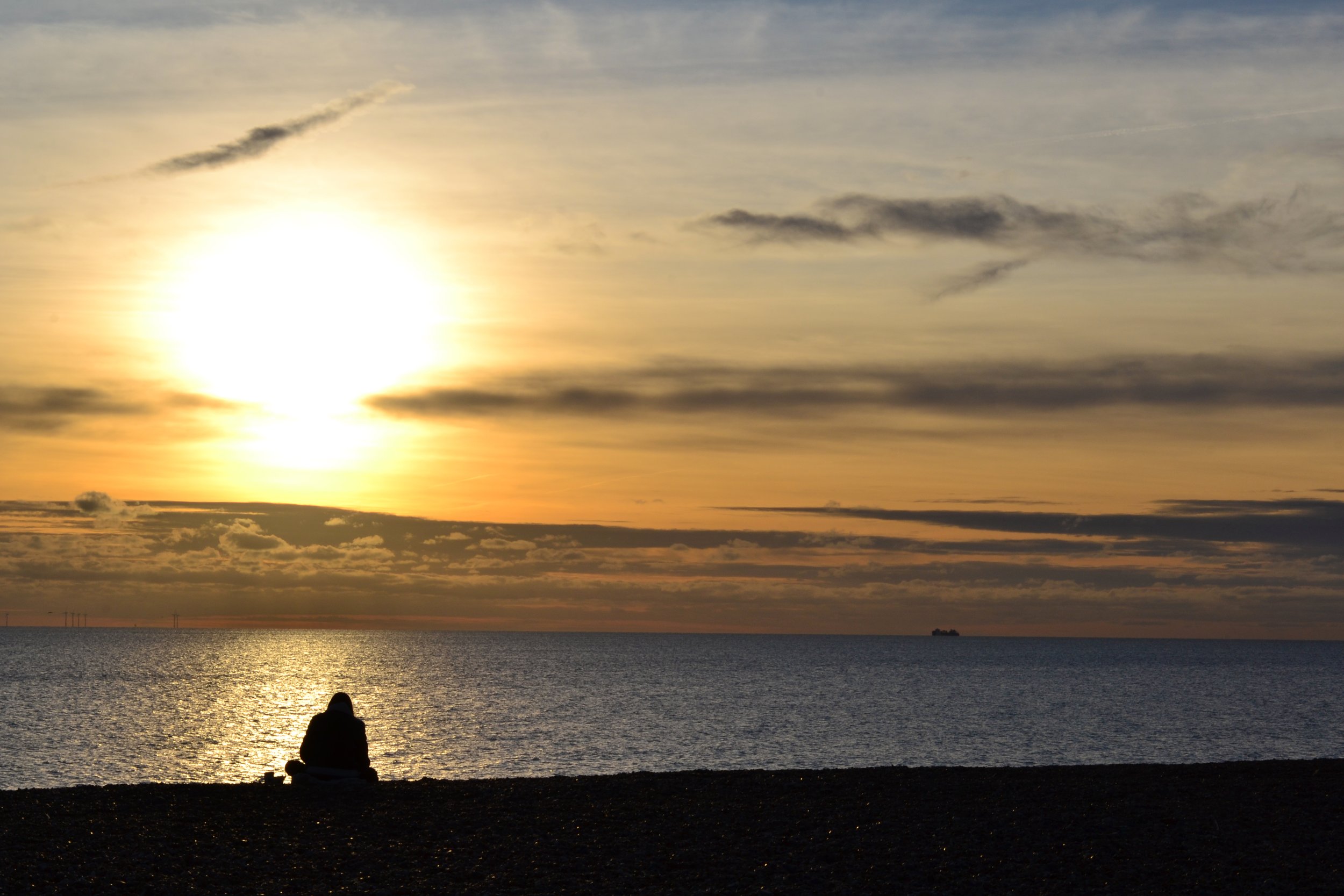 DSC_0207.jpg