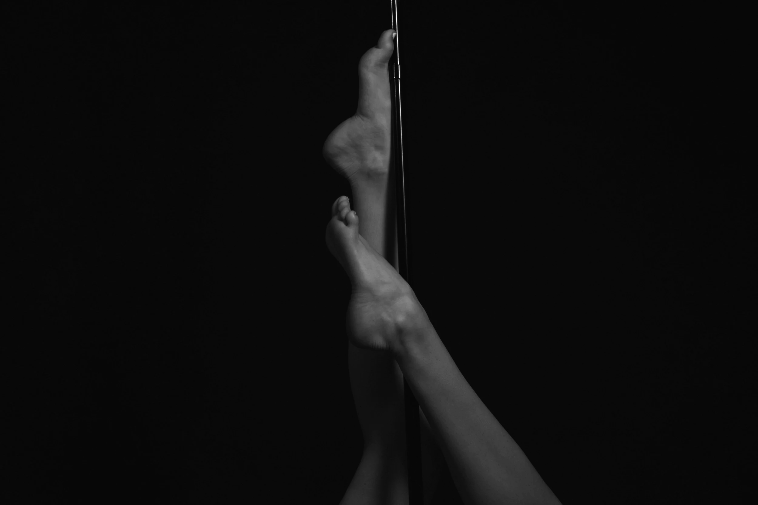 DSC_0064.png