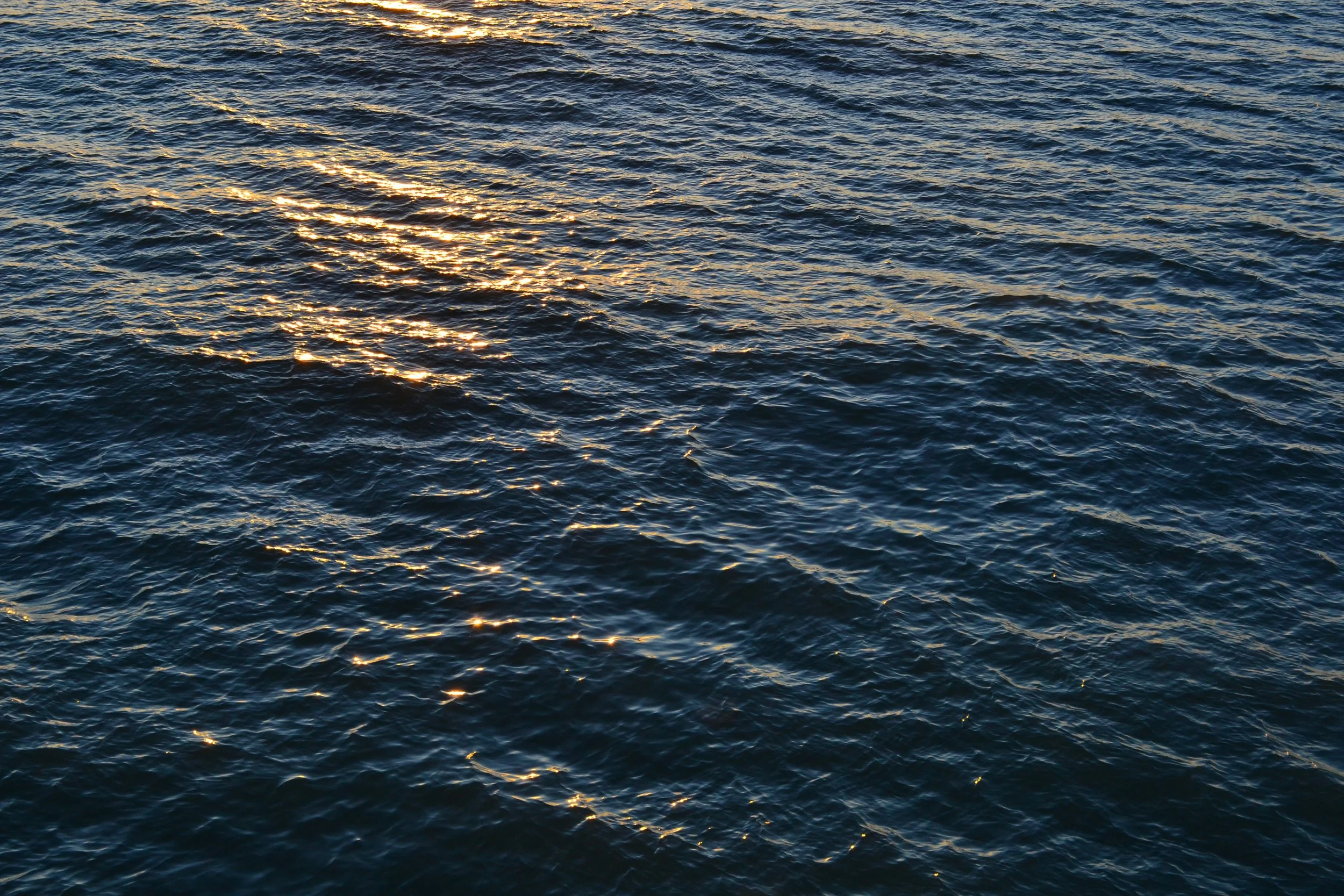 DSC_0221 (background - The Sea).jpg