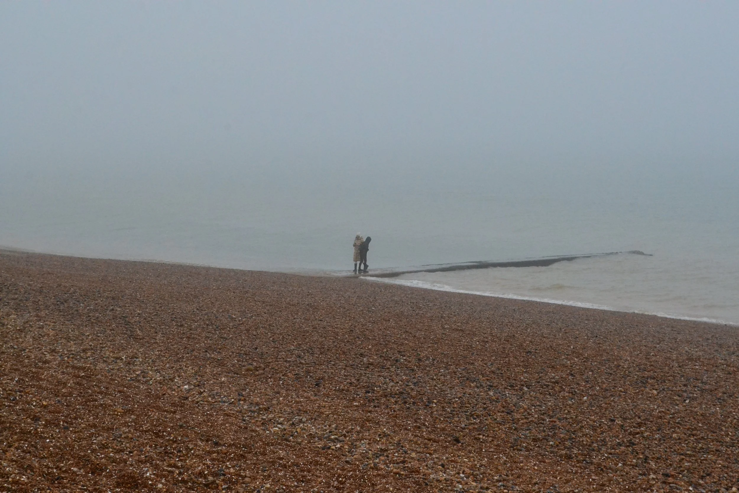 DSC_0797.jpg