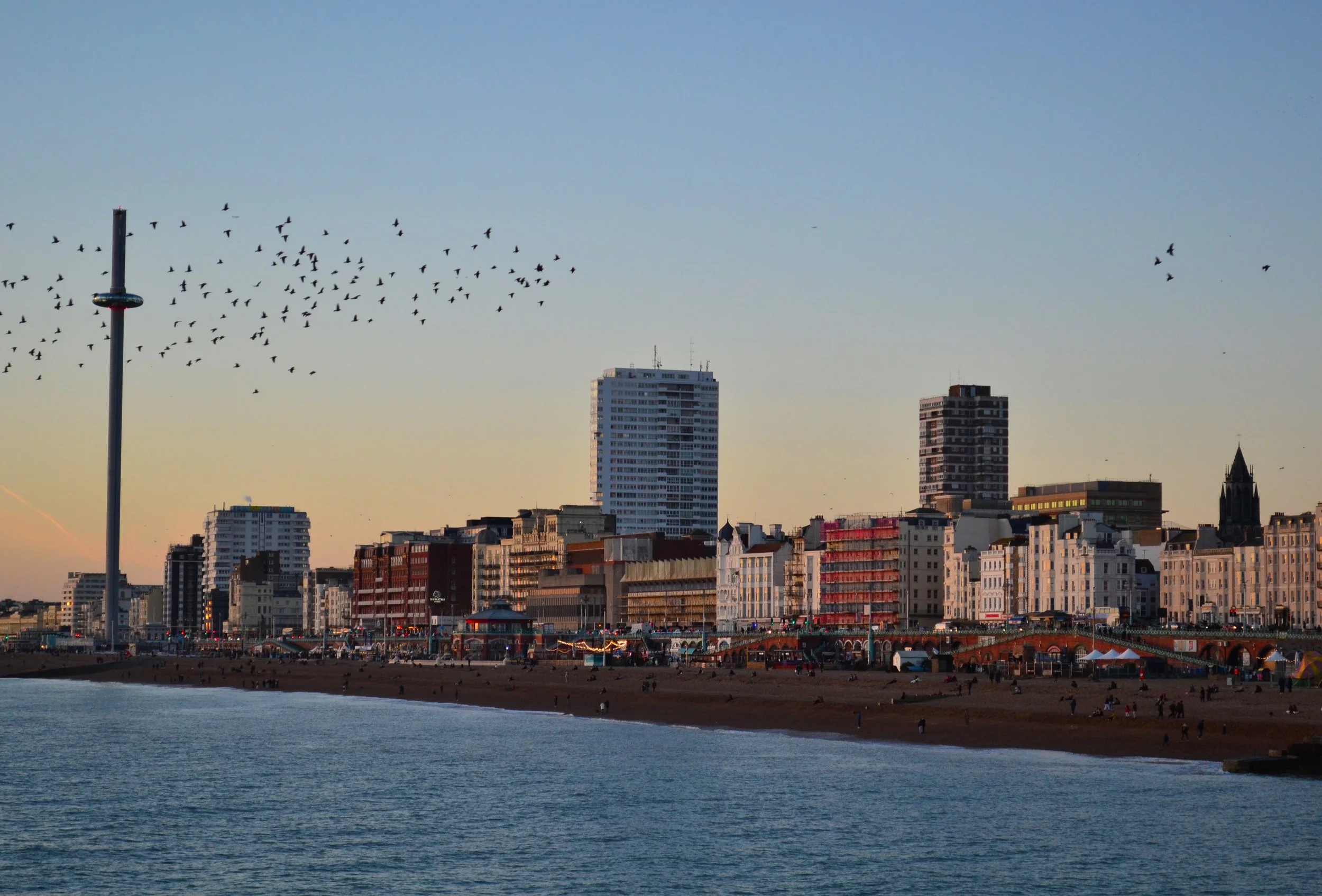 DSC_0252.jpg