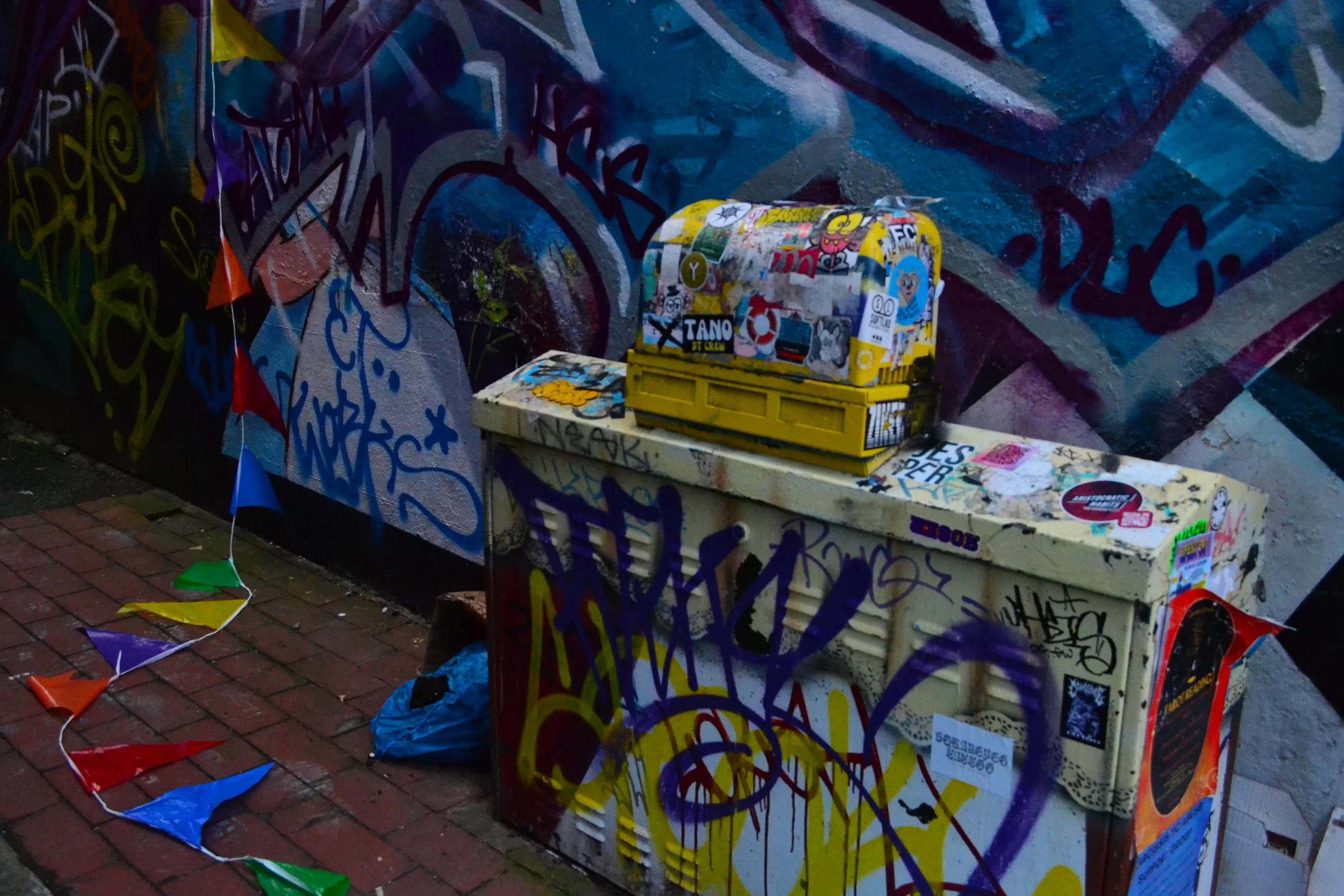 DSC_0492.jpg