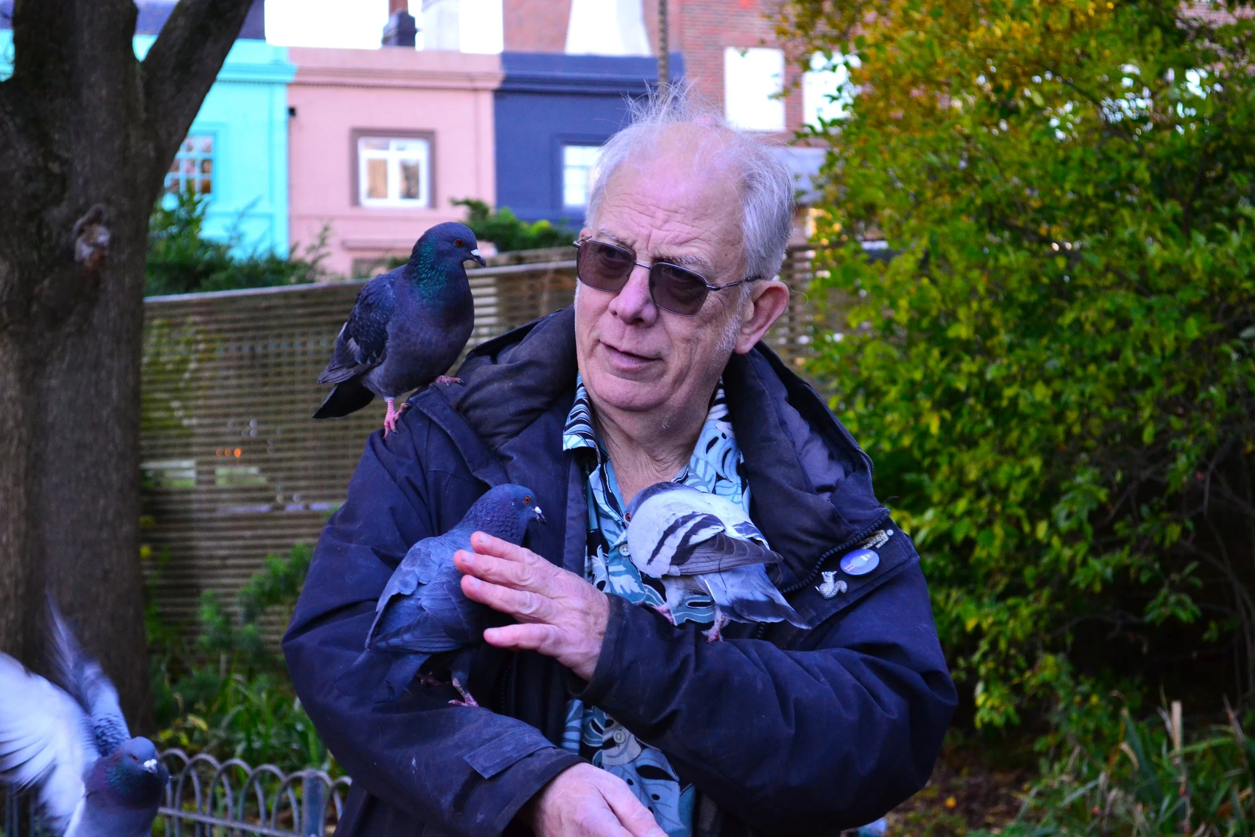 DSC_0118.jpg
