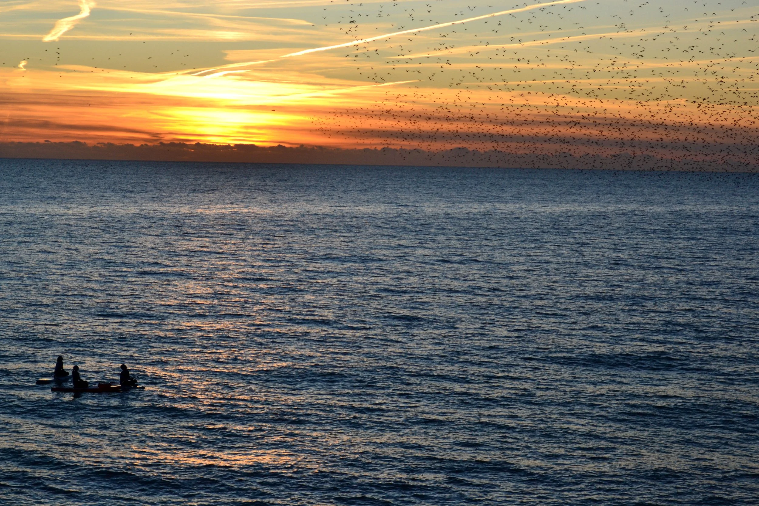 DSC_0331.jpg