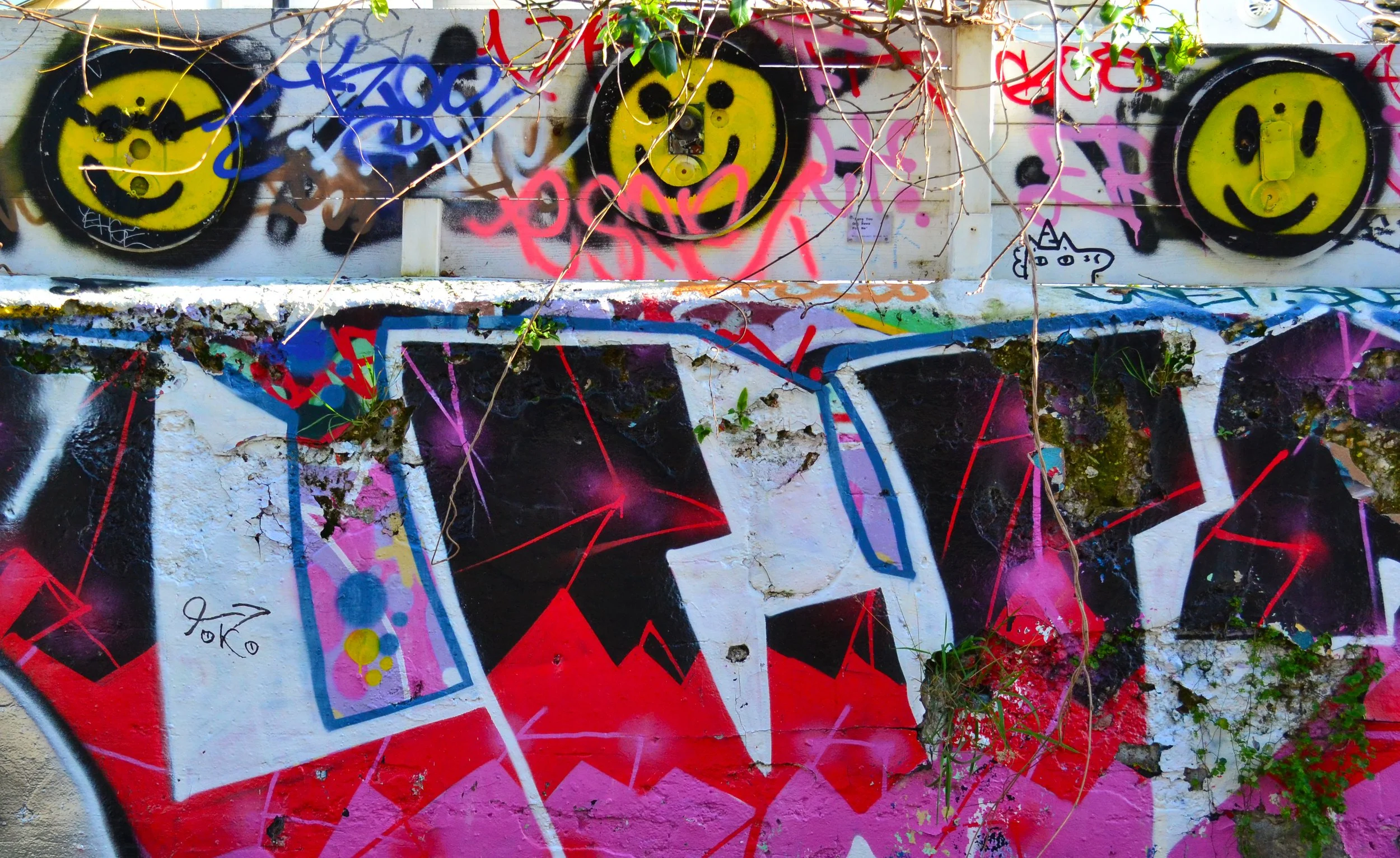 DSC_0292.jpg
