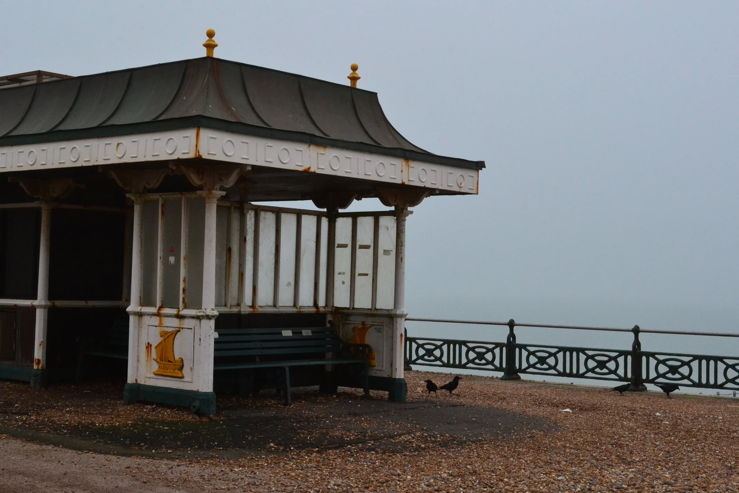 DSC_0591.jpg