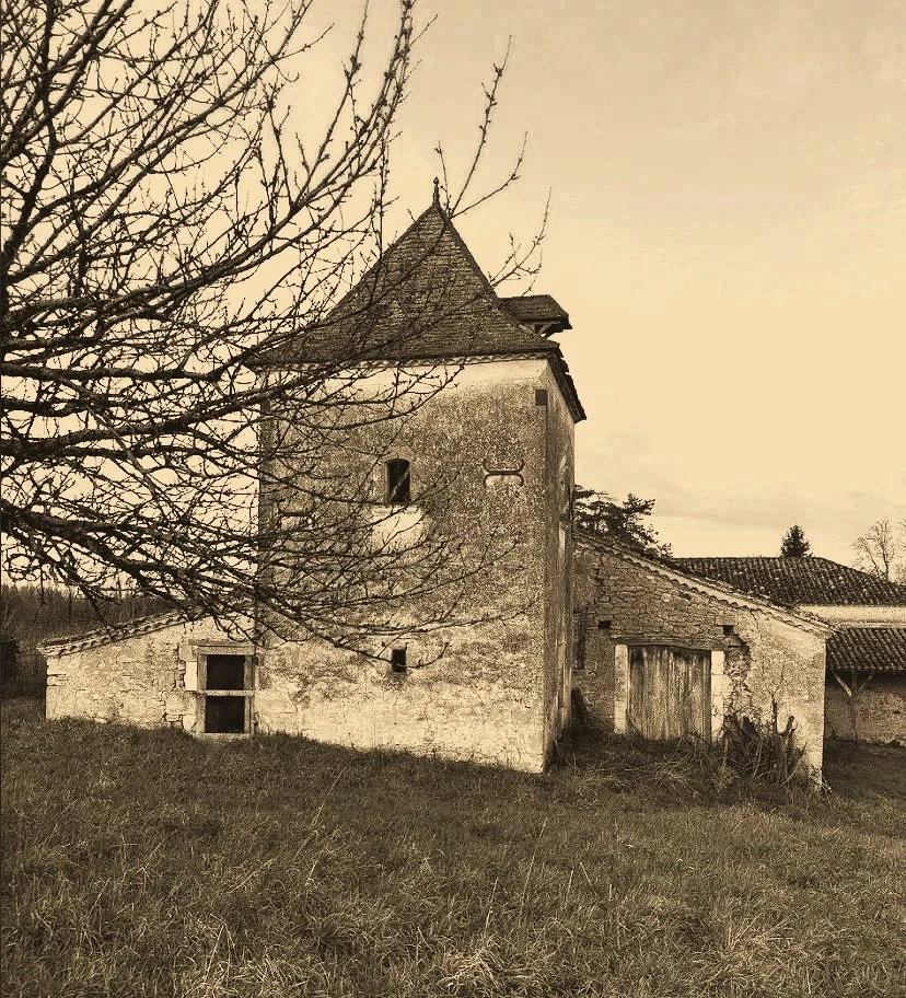 Old, weathered stone building with a tower and wooden roof, situated in a grassy area with leafless tree in the foreground, in sepia tone.